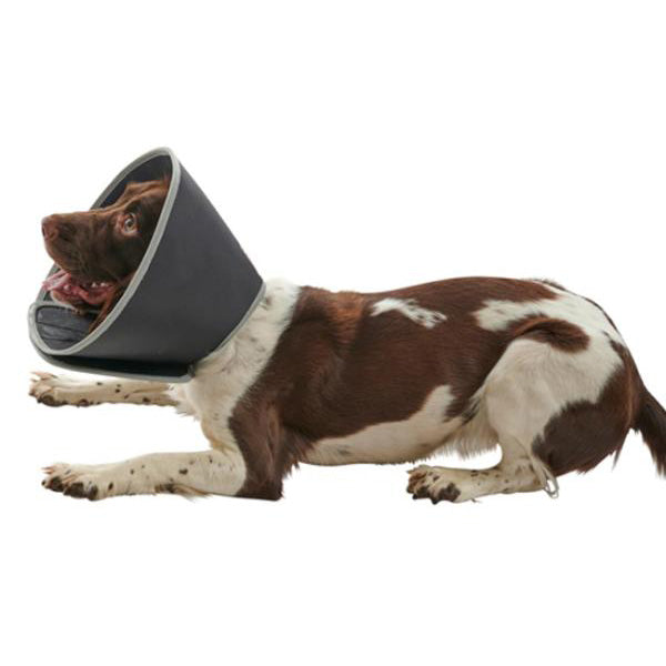 Dechra Halskragen Foam Collar 15cm