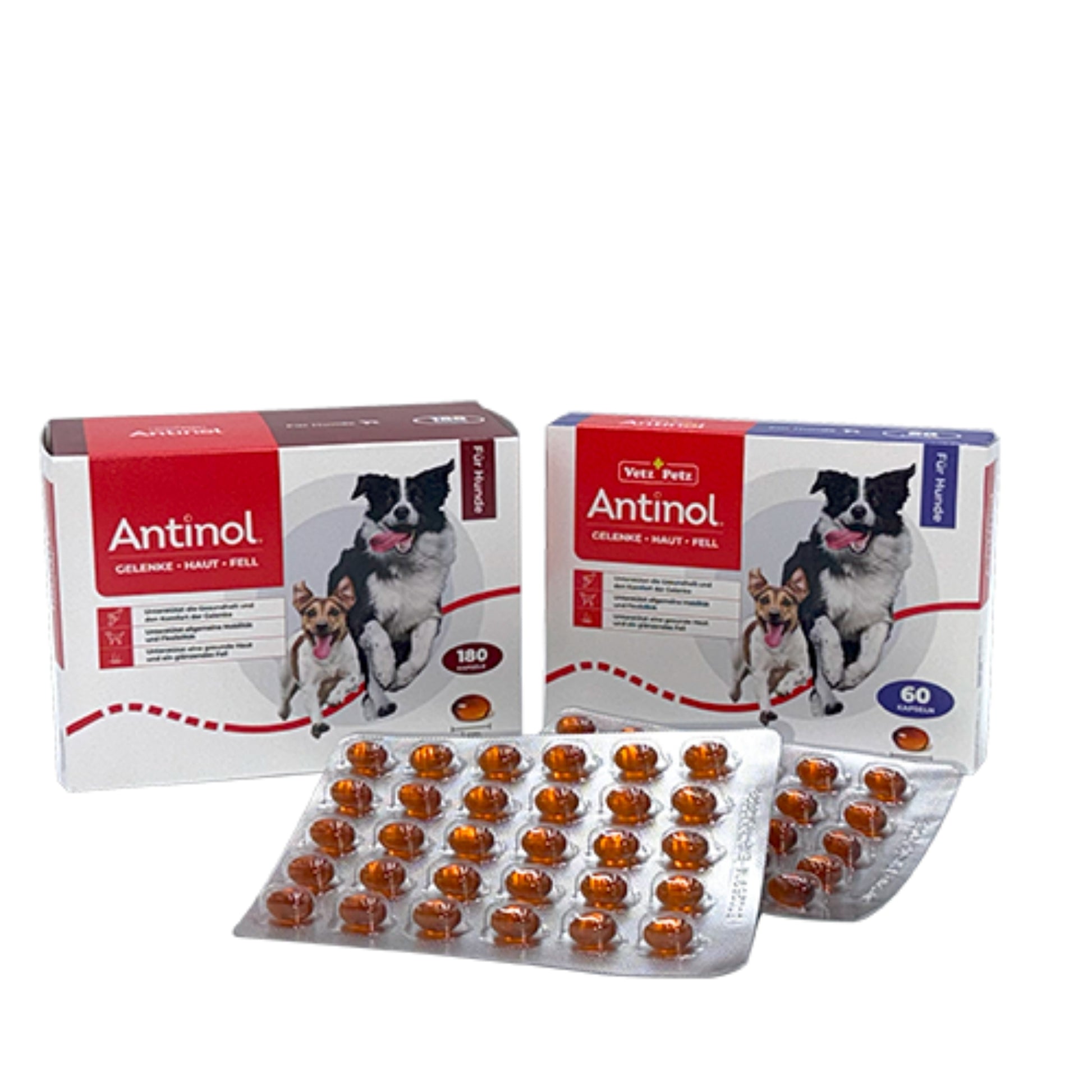 Antinol für Hunde 180 Kapseln