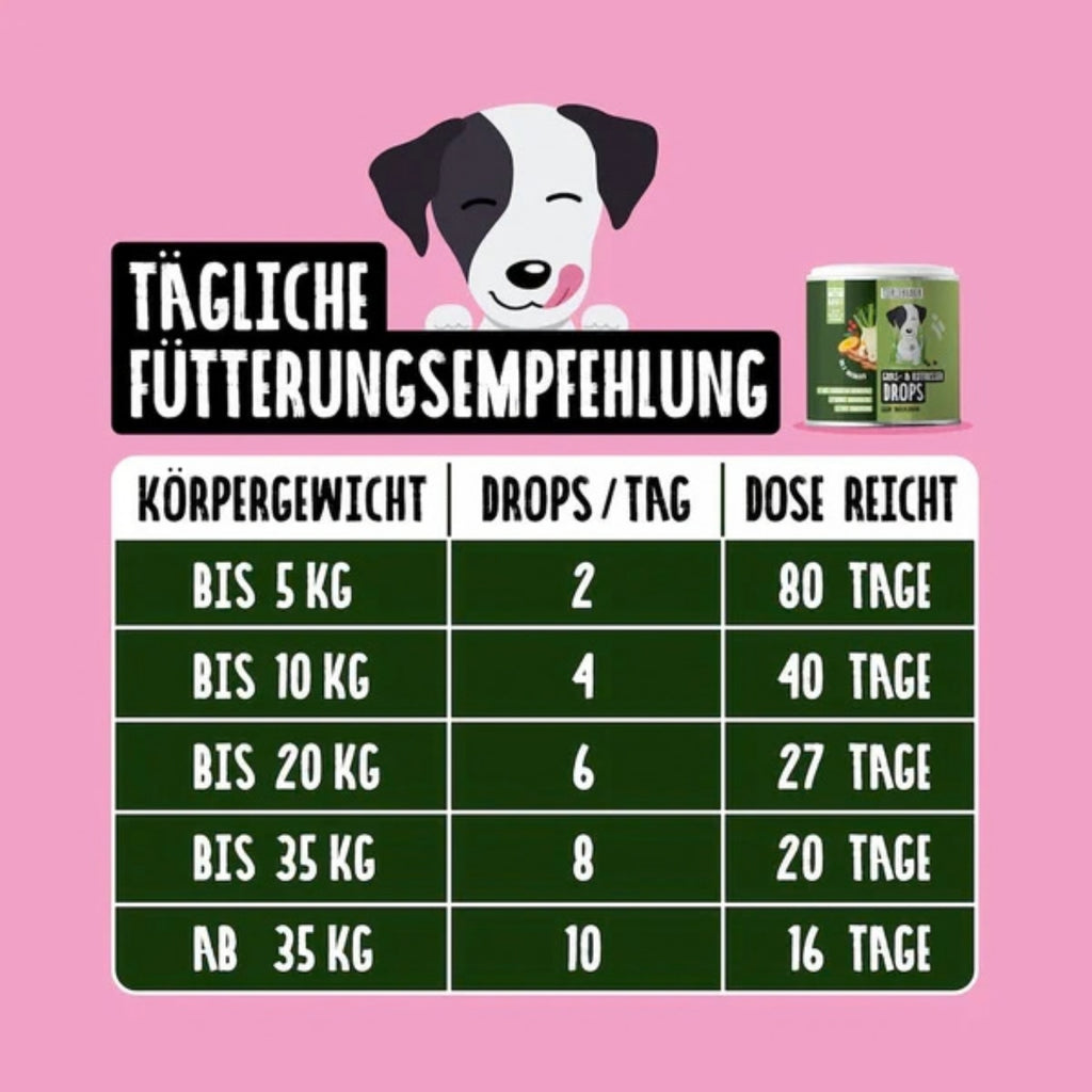 33625 – Bild 4