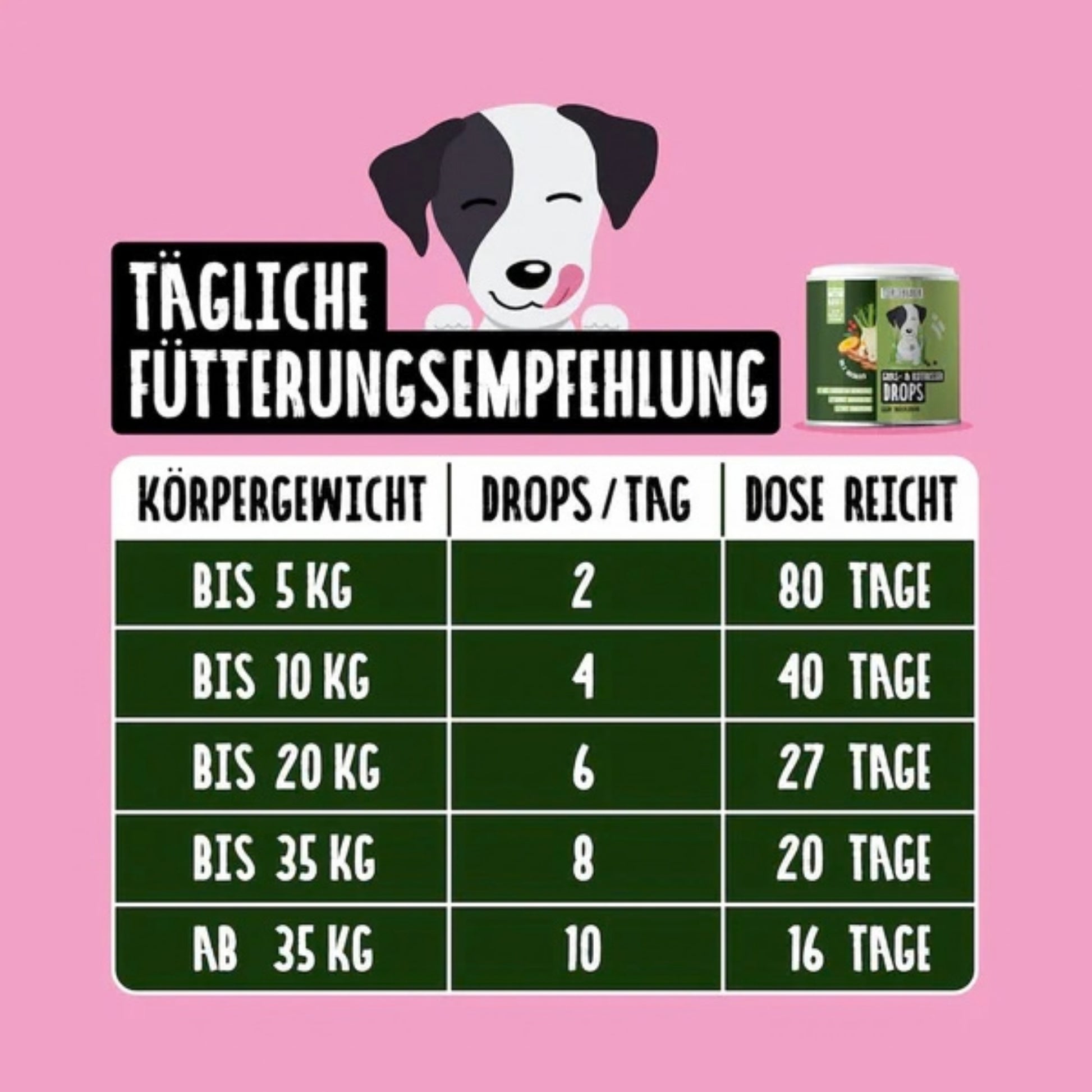 33625 – Bild 4
