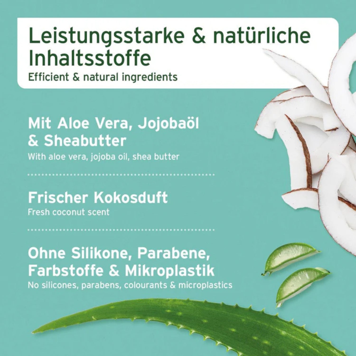 33654 – Bild 2
