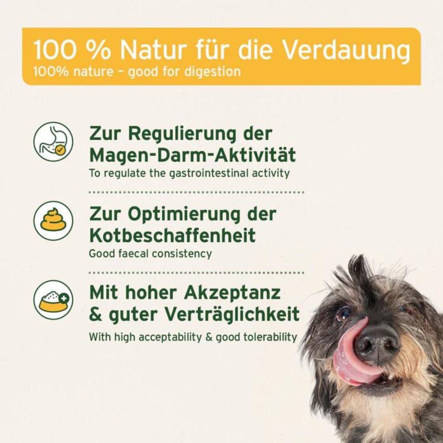 33659 – Bild 2