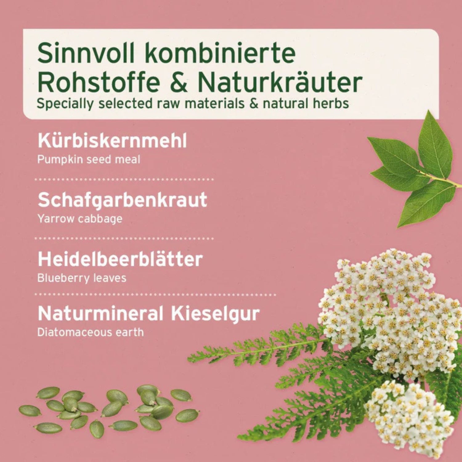 33661 – Bild 1