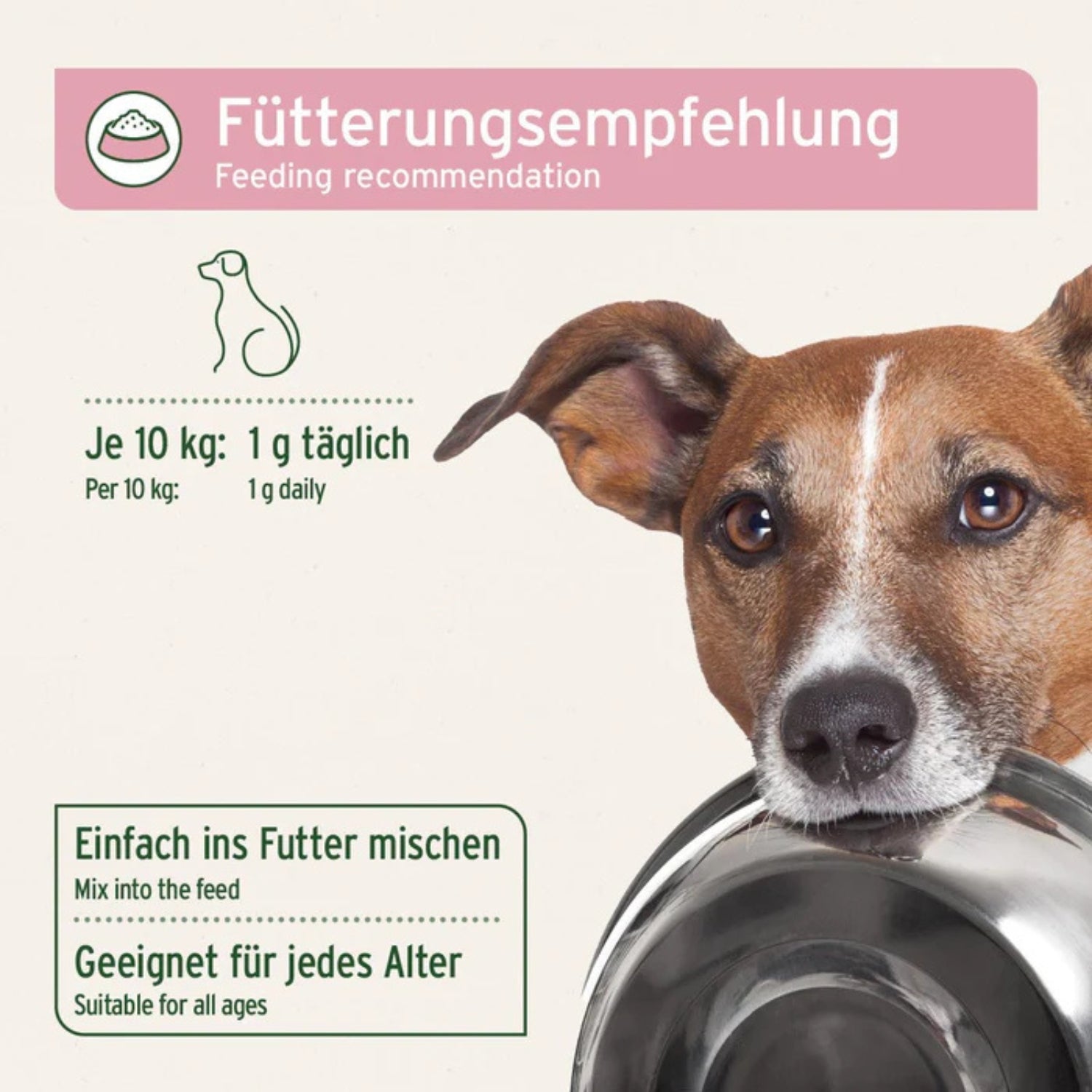 33661 – Bild 2