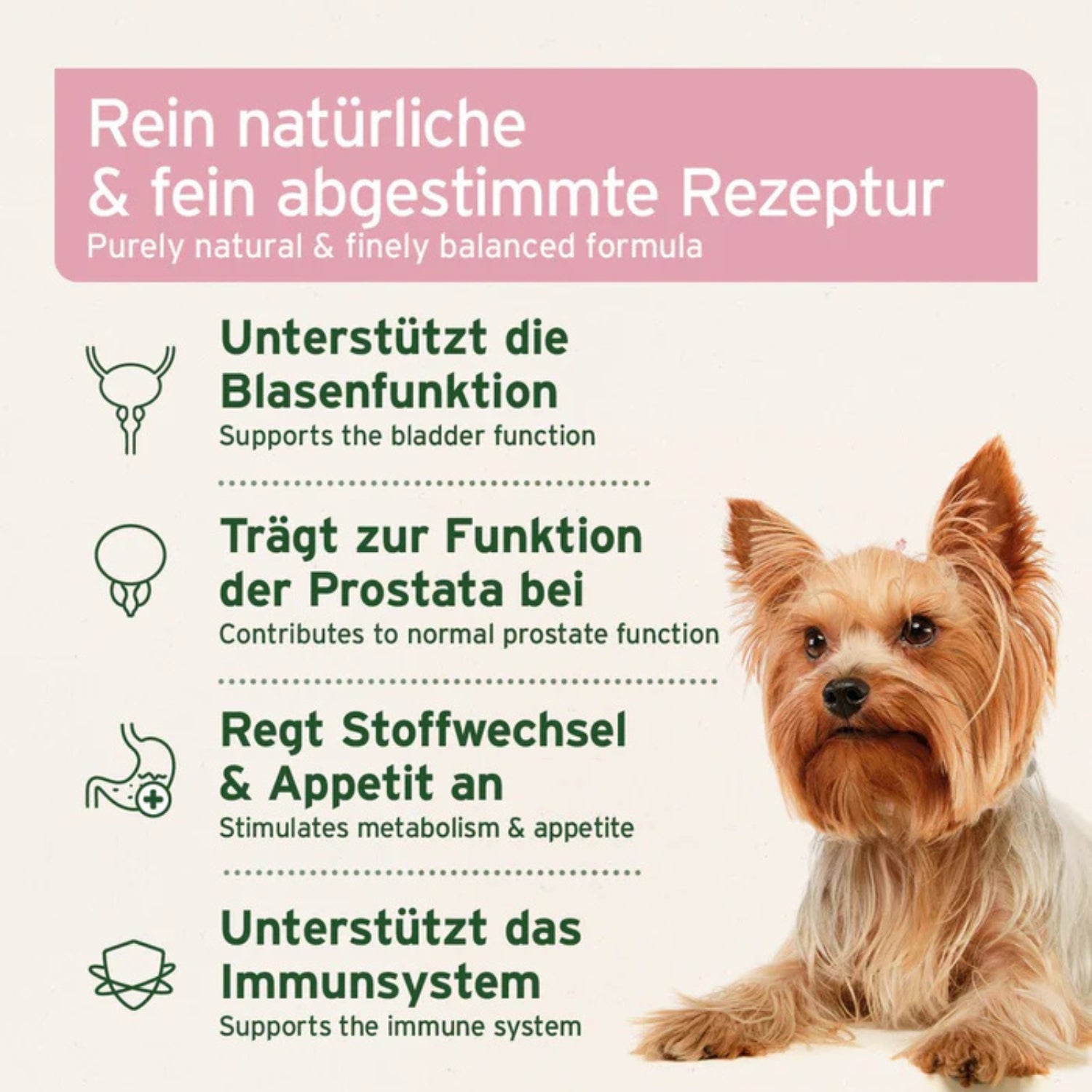 33661 – Bild 3