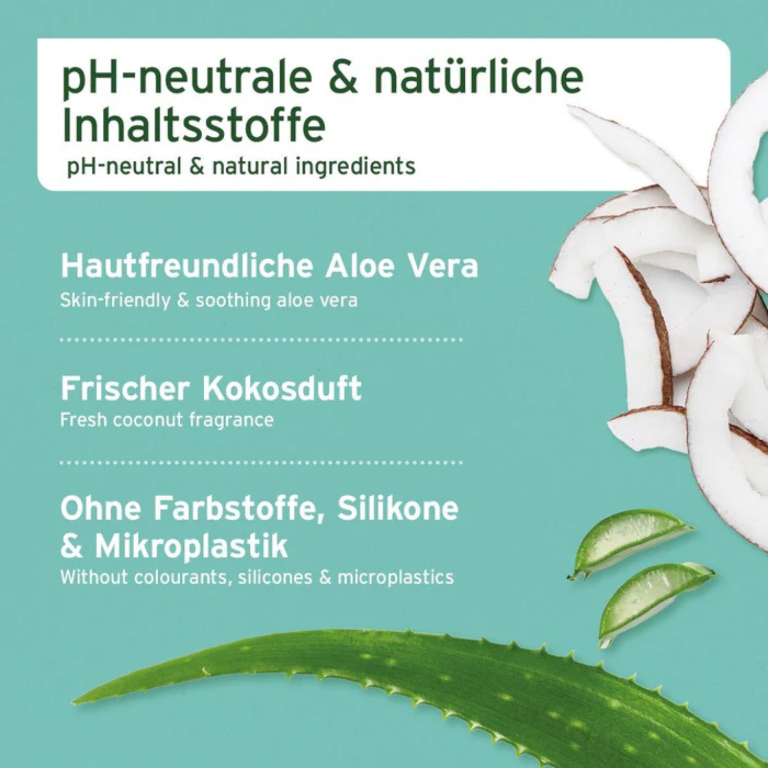 33665 – Bild 1