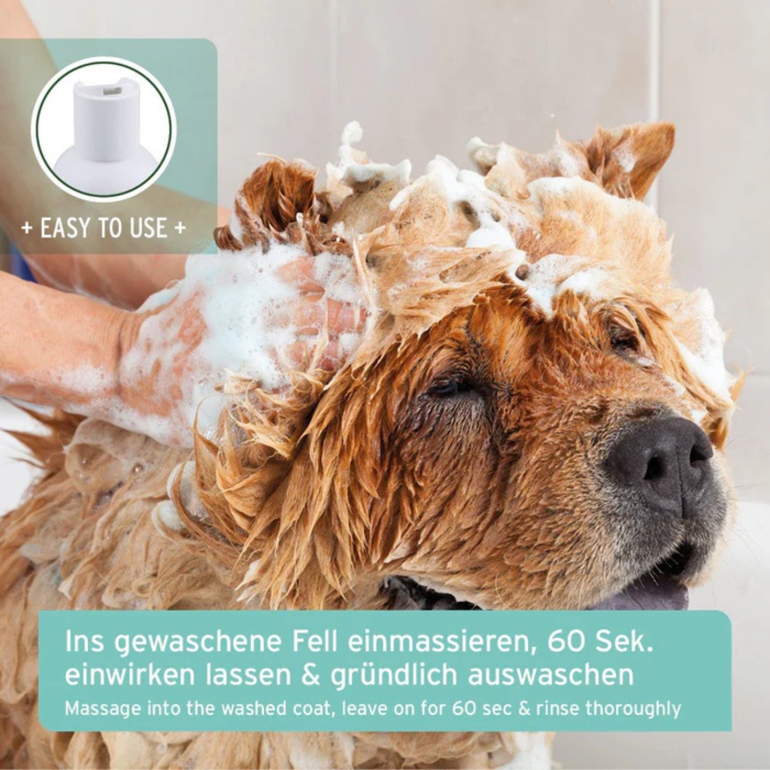 33665 – Bild 2