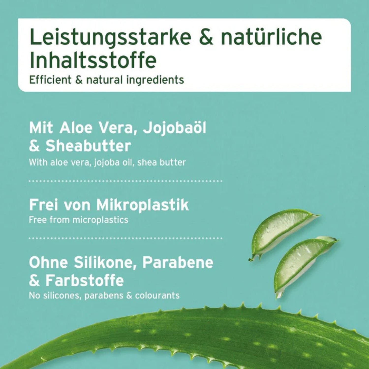33670 – Bild 1