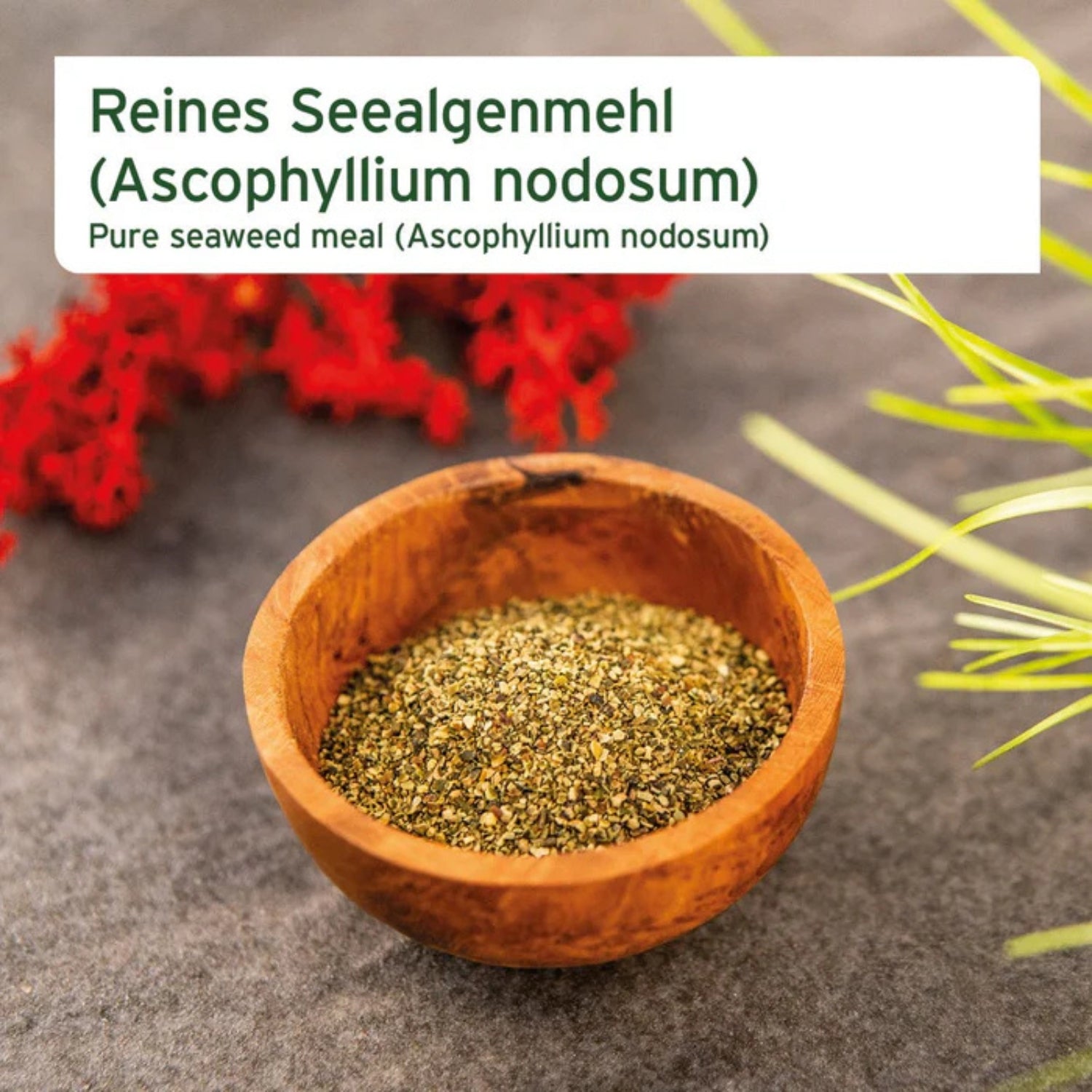 AniForte BARF-Line Seealgenmehl für Hund 250g