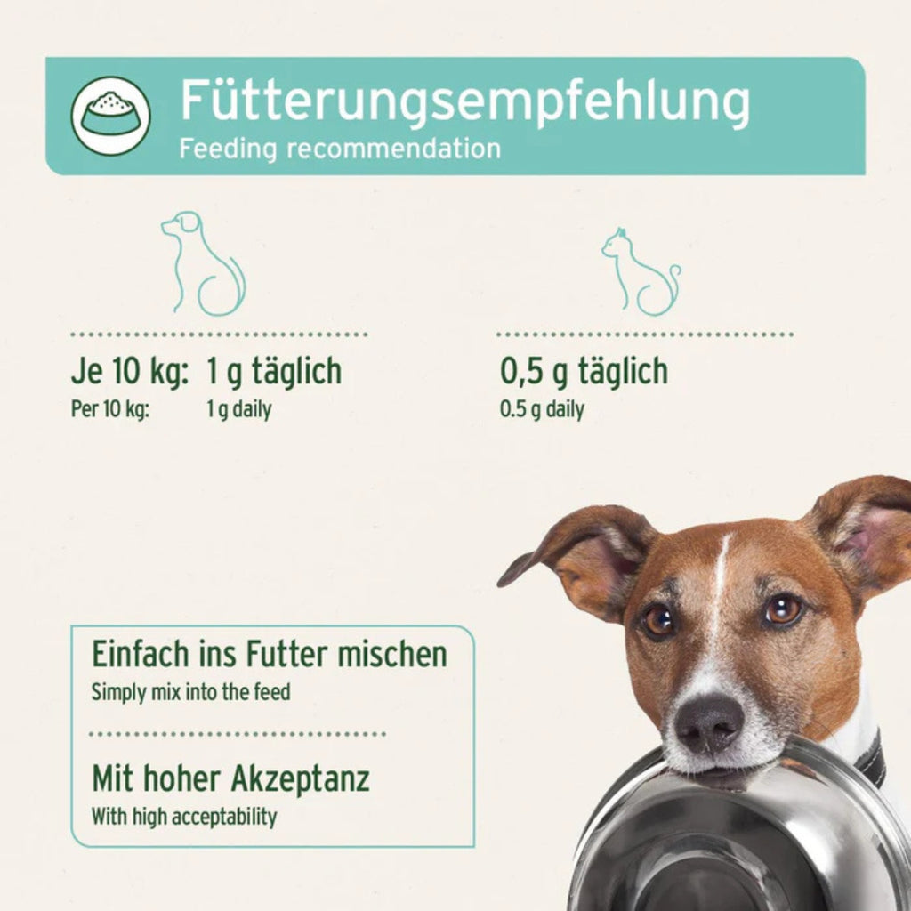 AniForte Denta Clean & Care Pulver für Hund und Katze 80g