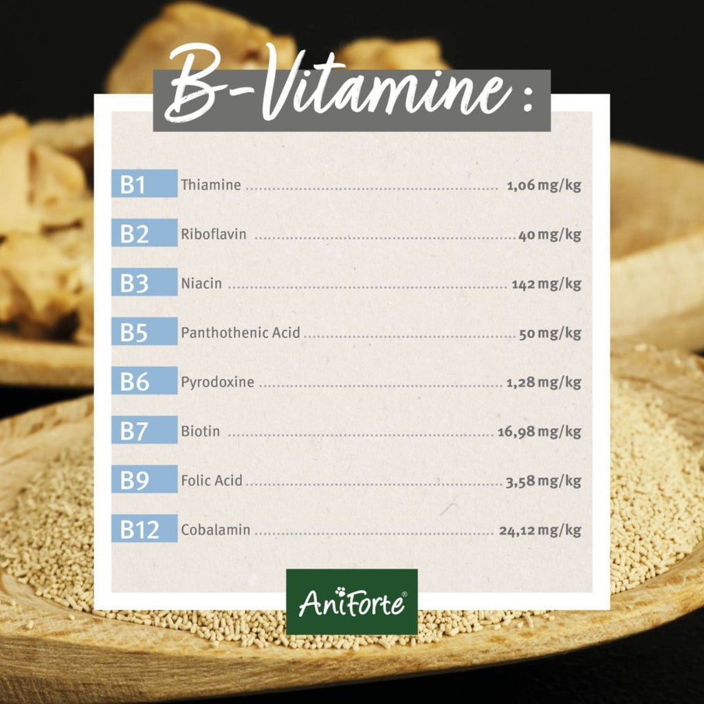 AniForte Bierhefe Pulver für Hund und Katze 250g