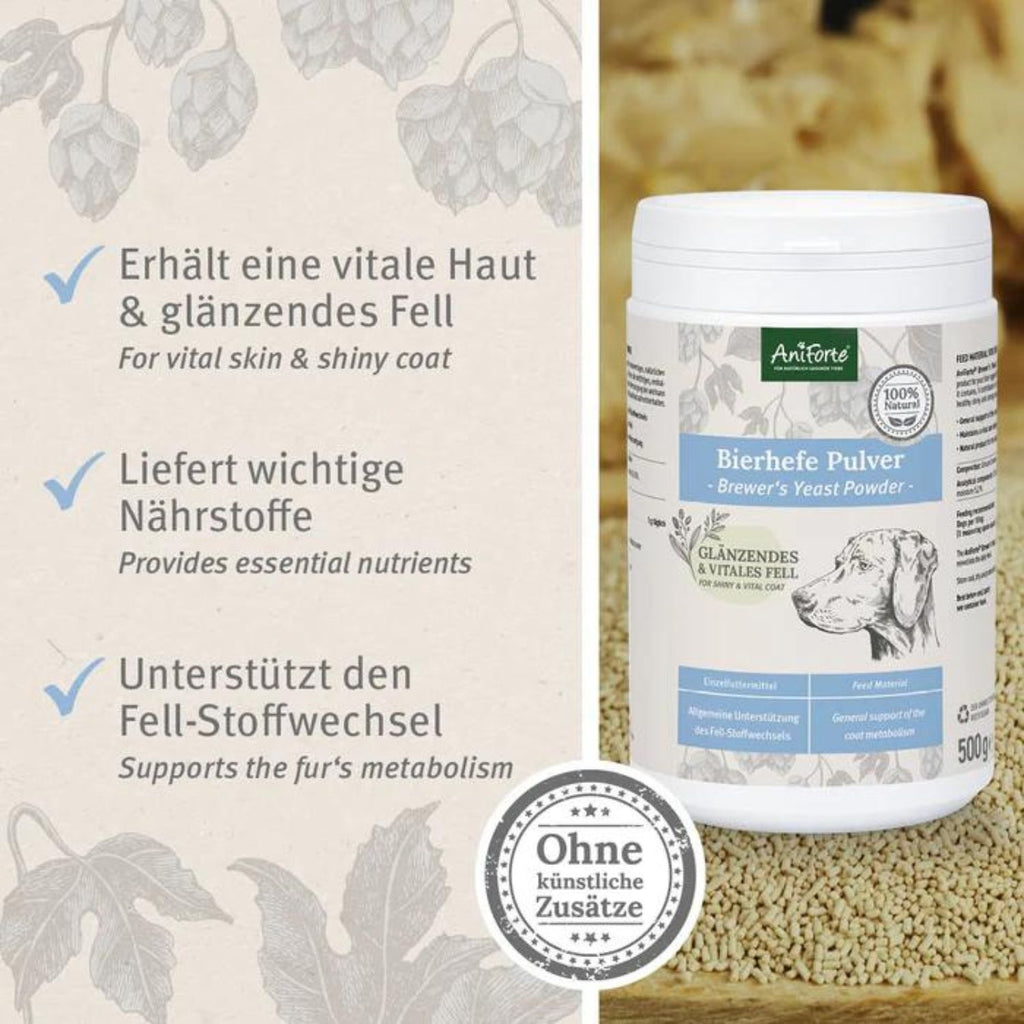 33680 – Bild 2