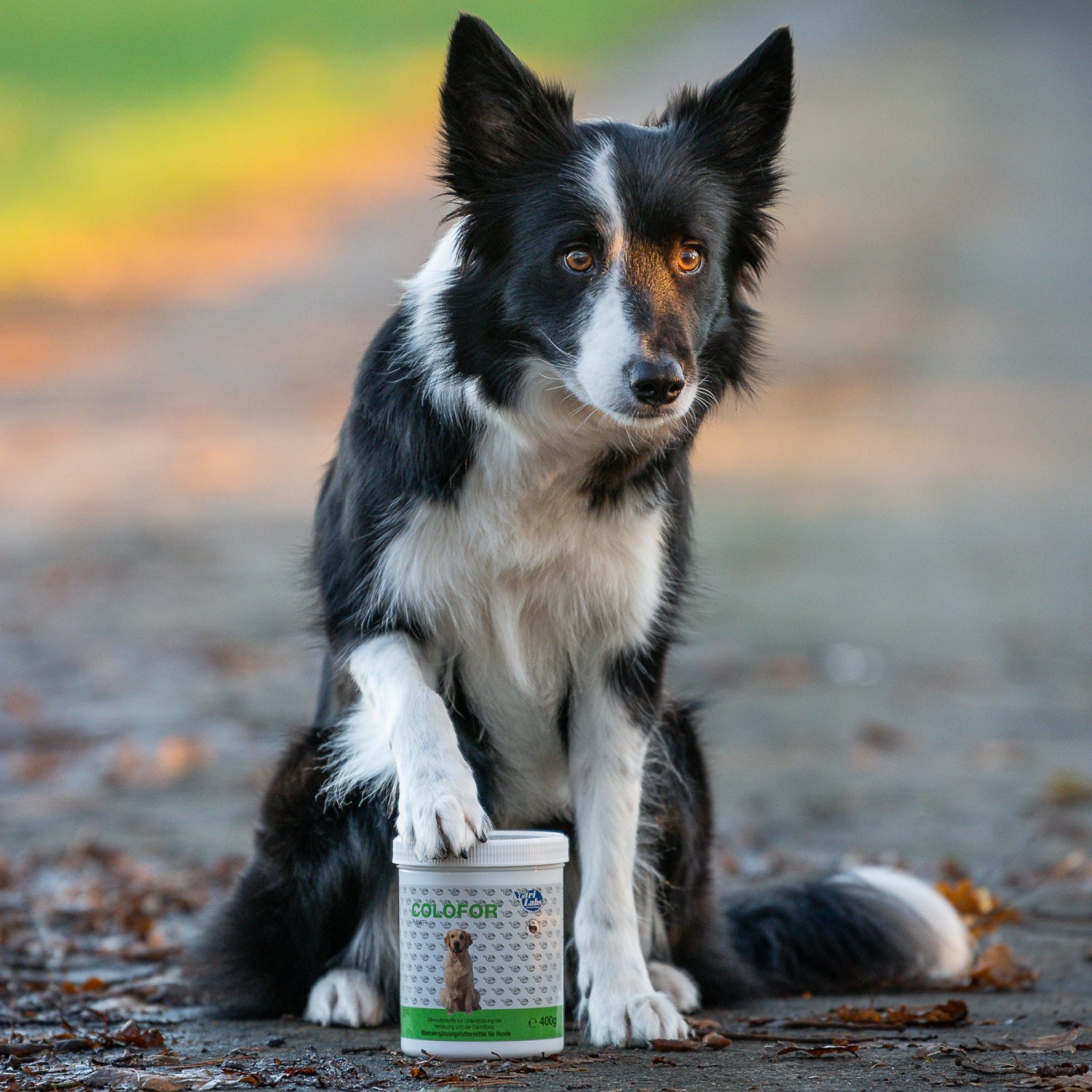 NutriLabs Colofor Pulver 400g