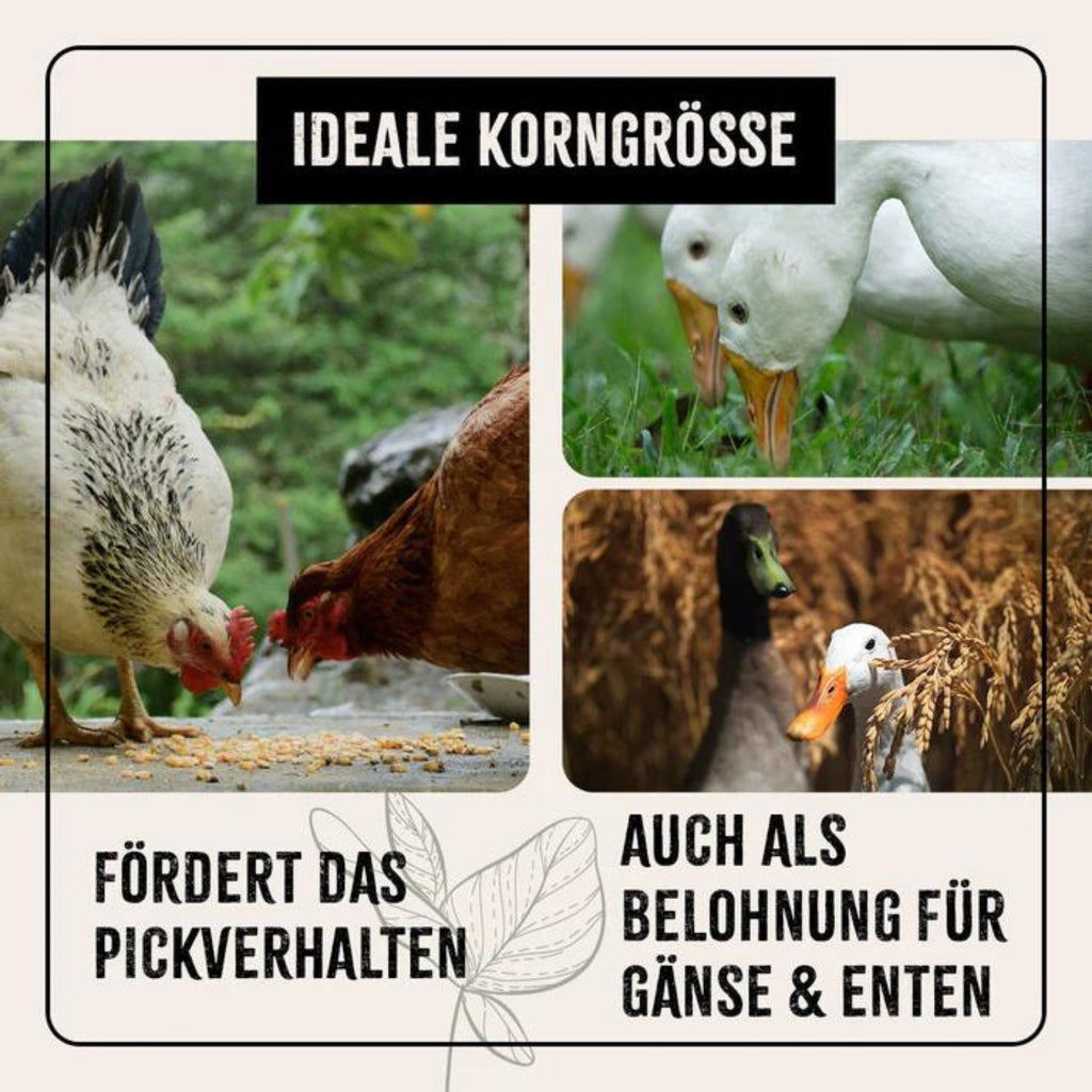 AniForte FarmLife Geflügel Mix mit Oregano 10kg