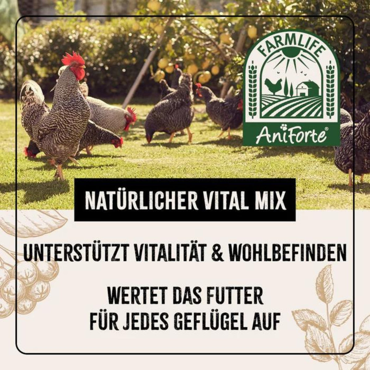AniForte FarmLife Geflügel VitalMix Pulver 500g