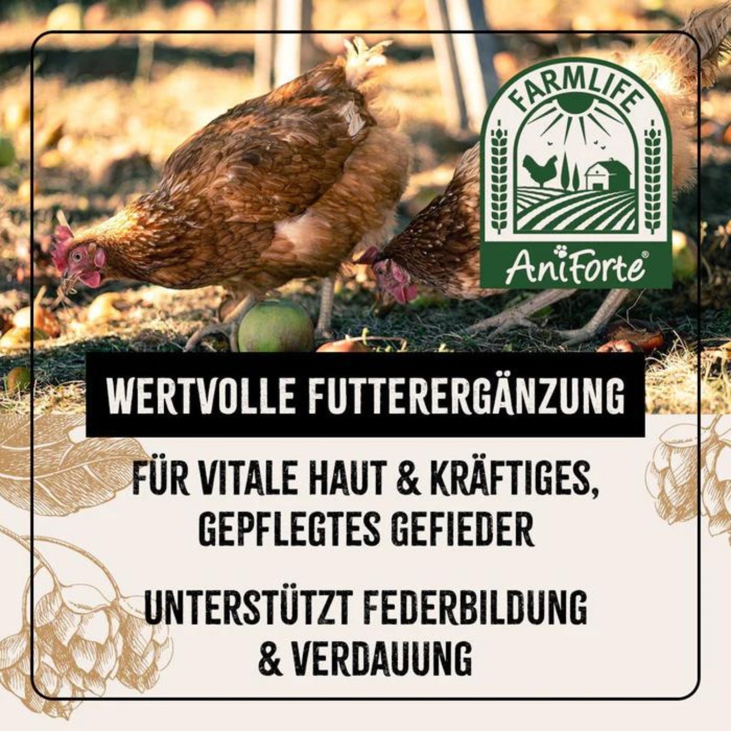 33724-K – Bild 2