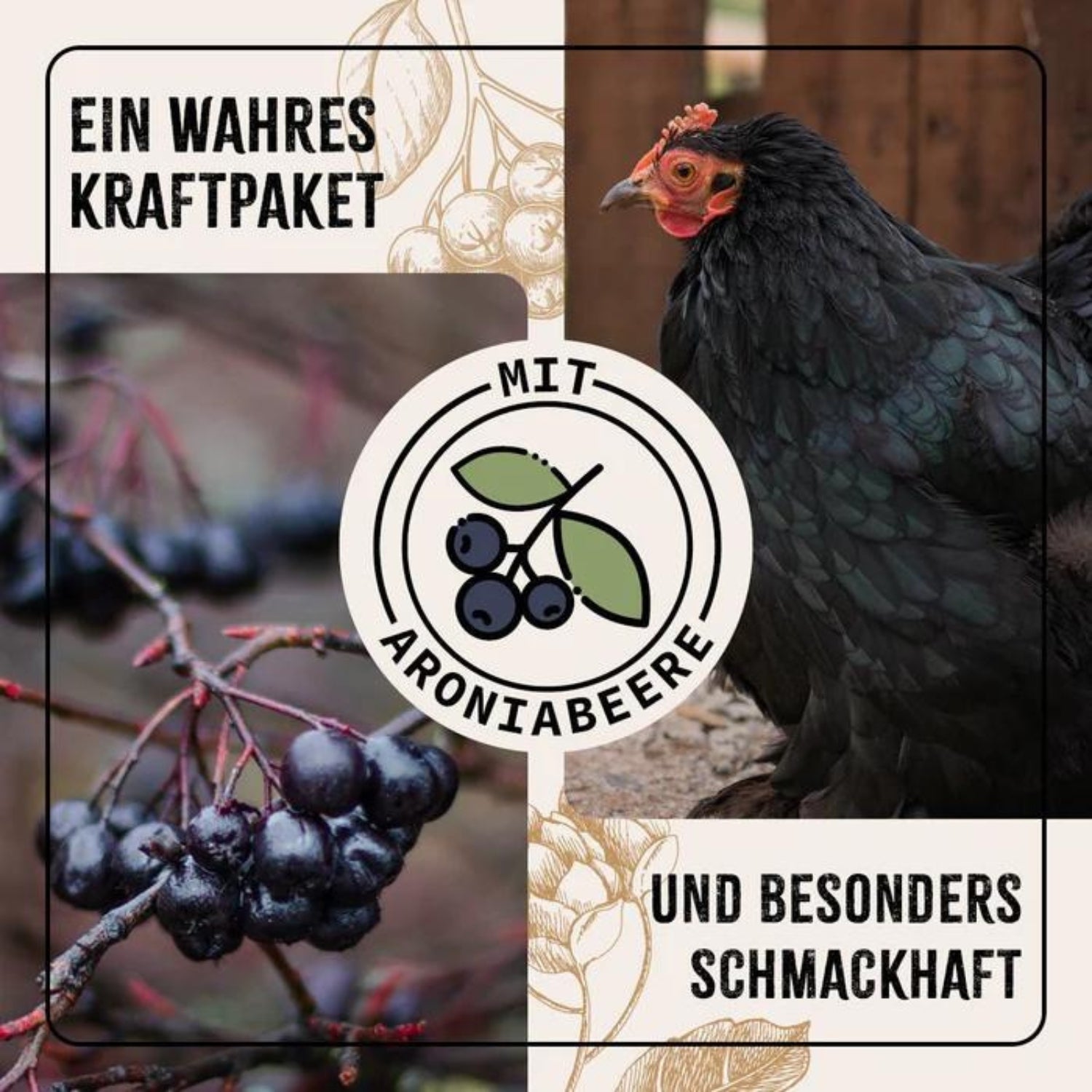 33724-K – Bild 3