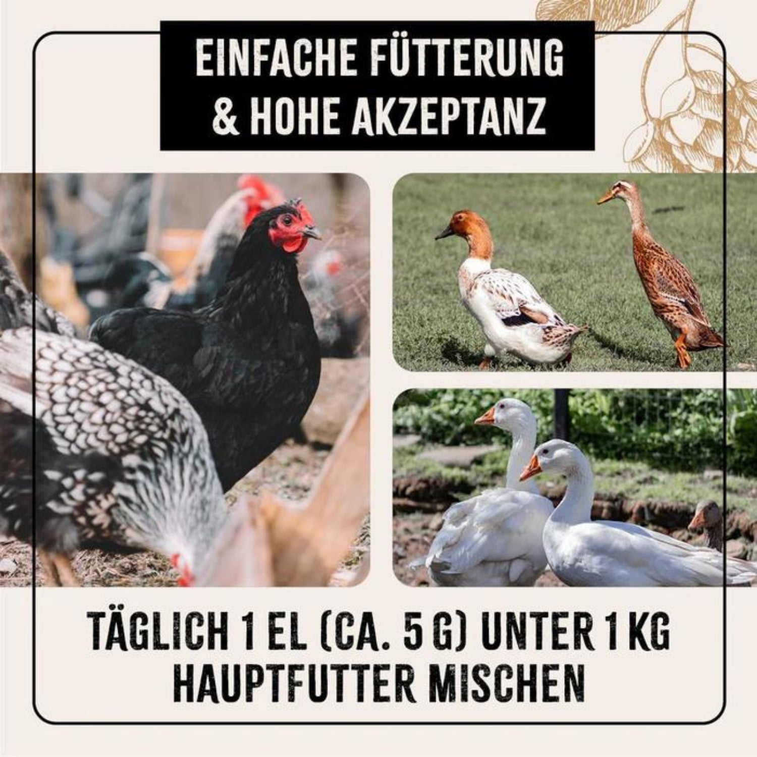 33724-K – Bild 4