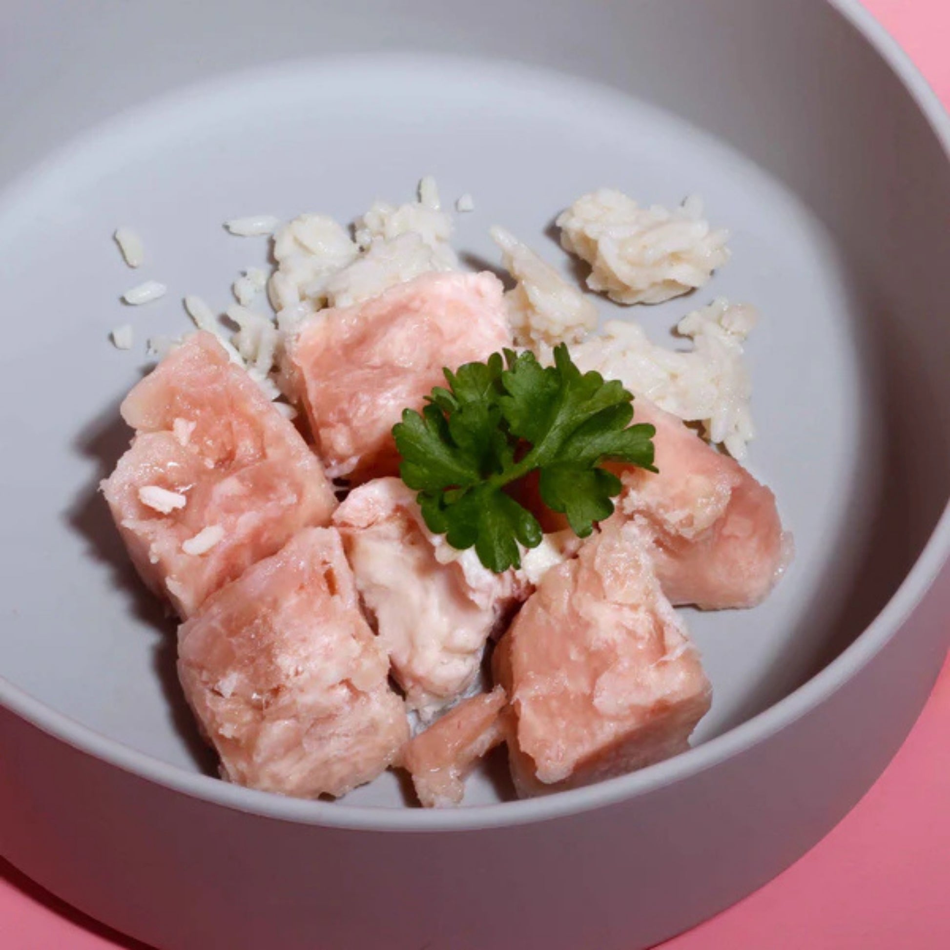 Tierliebhaber Lieblingsfutter Pute mit Reis 400g