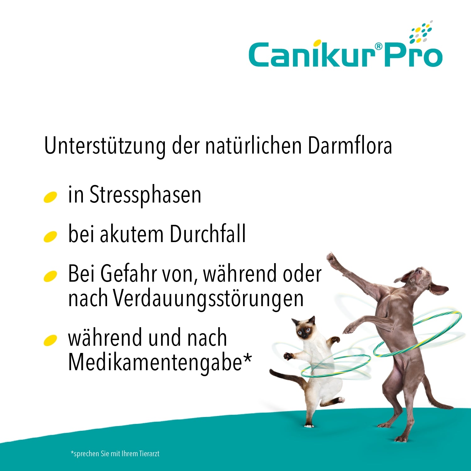 Canikur Pro Paste 15ml