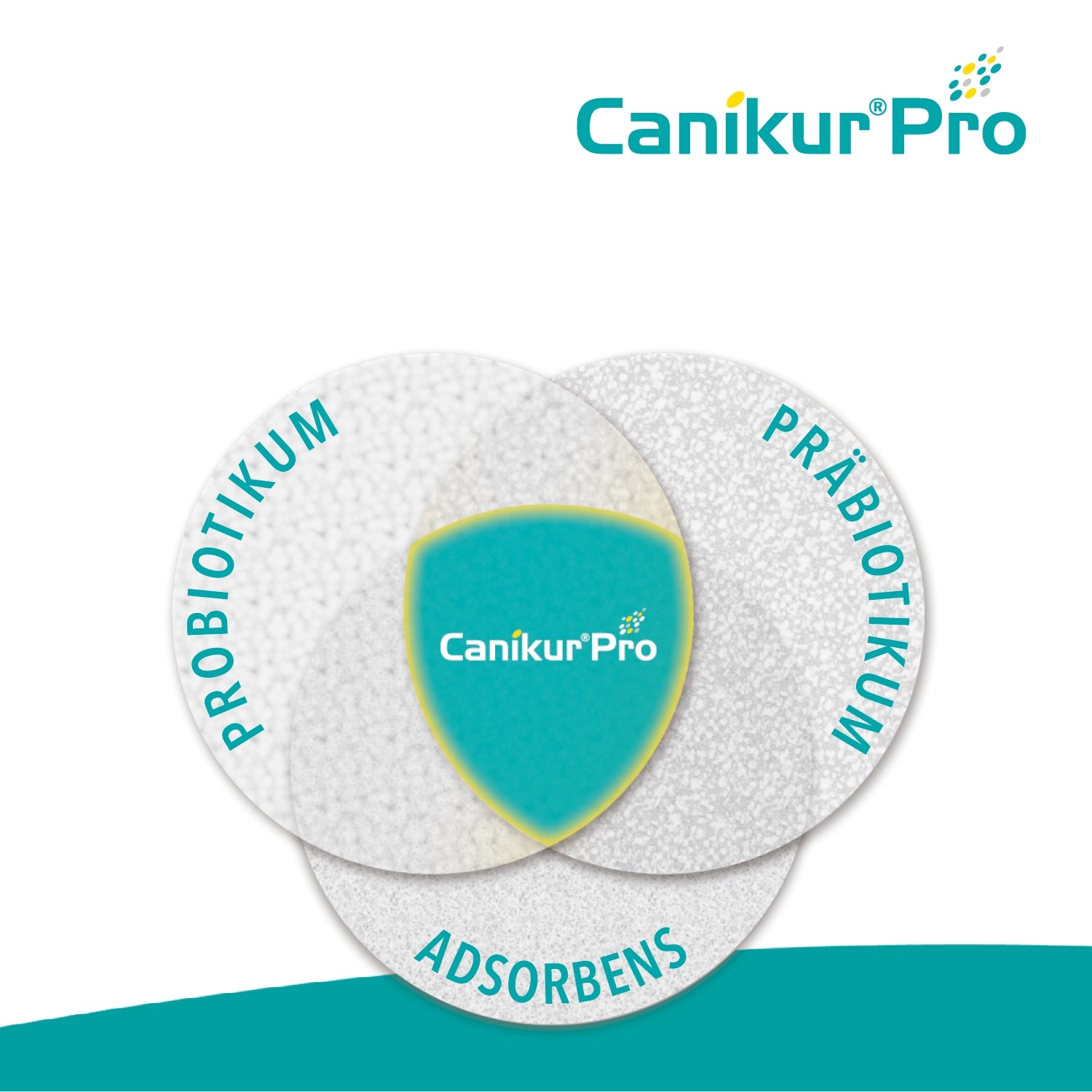 Canikur Pro Paste 60ml