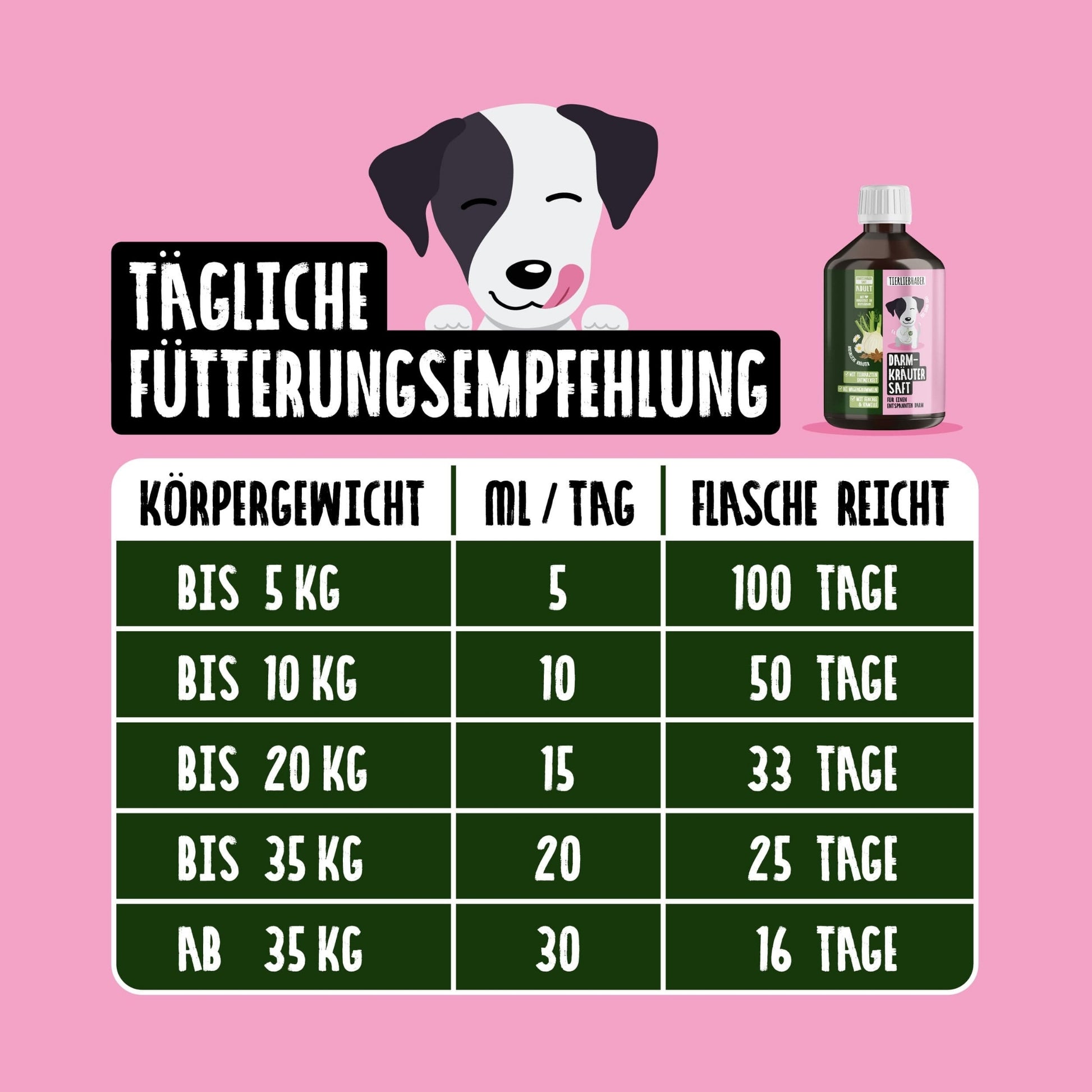 33745 – Bild 2