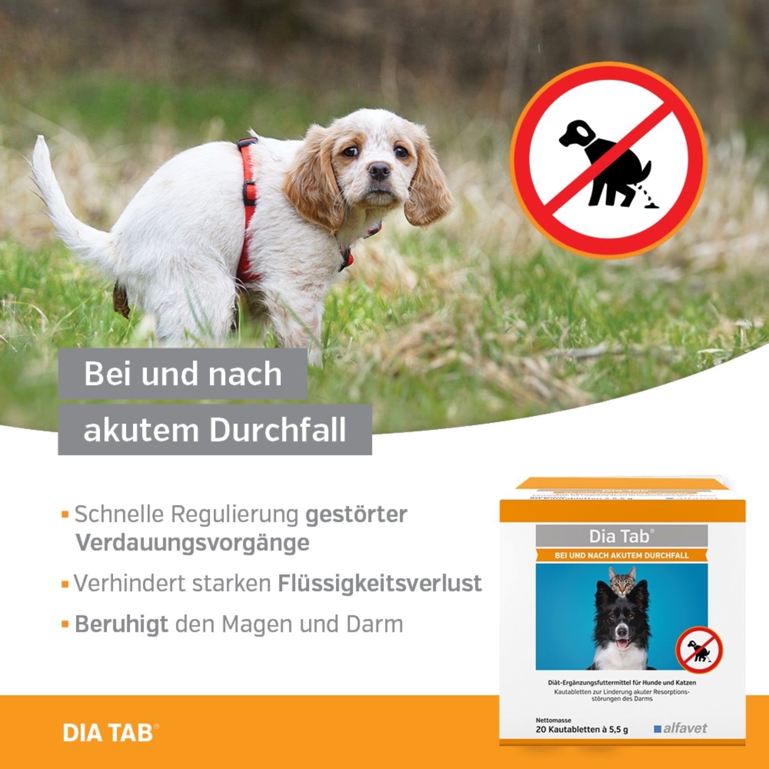 33756 – Bild 1