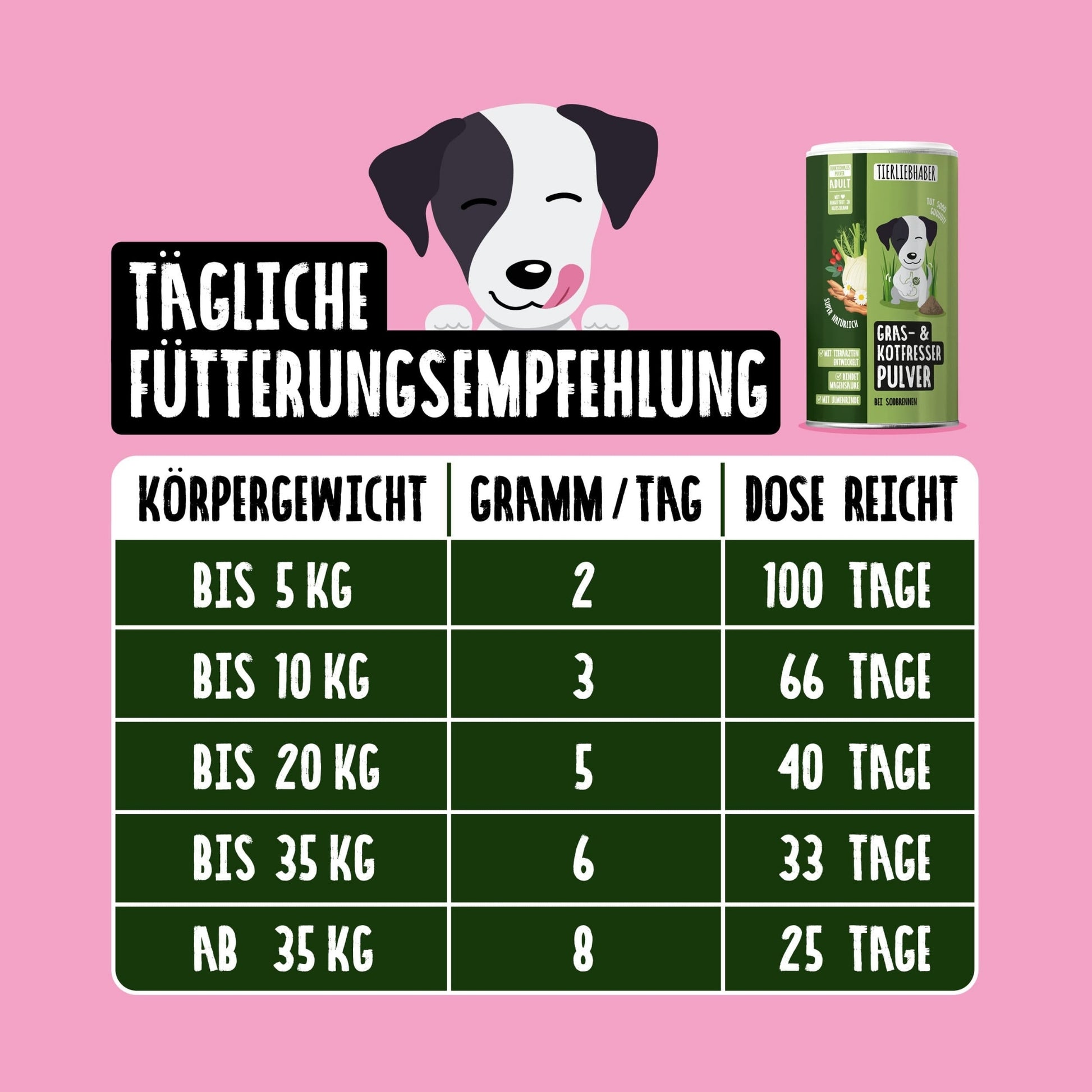 33760 – Bild 2