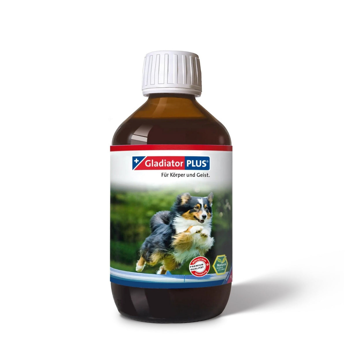 33772 – Bild 0