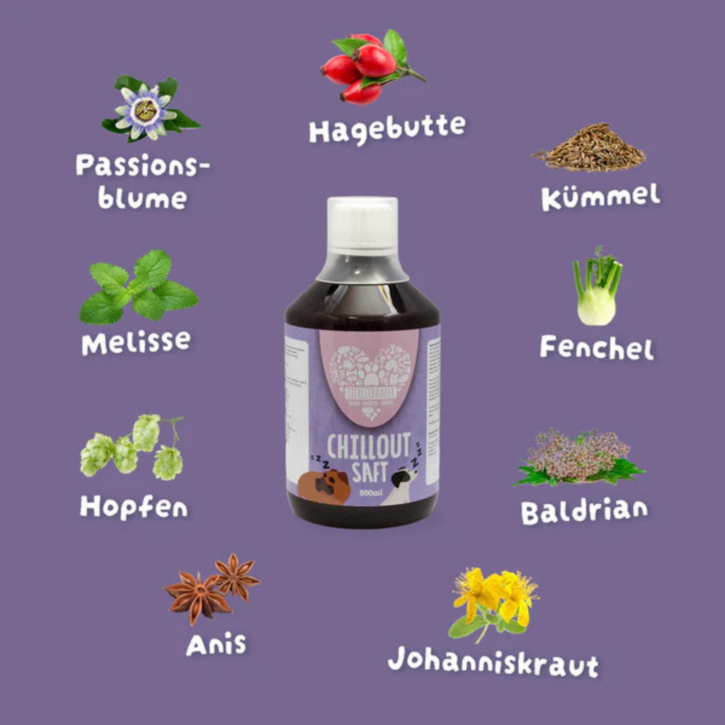 Tierliebhaber Chillout Saft für Hunde 500ml MHD 01.02.2026