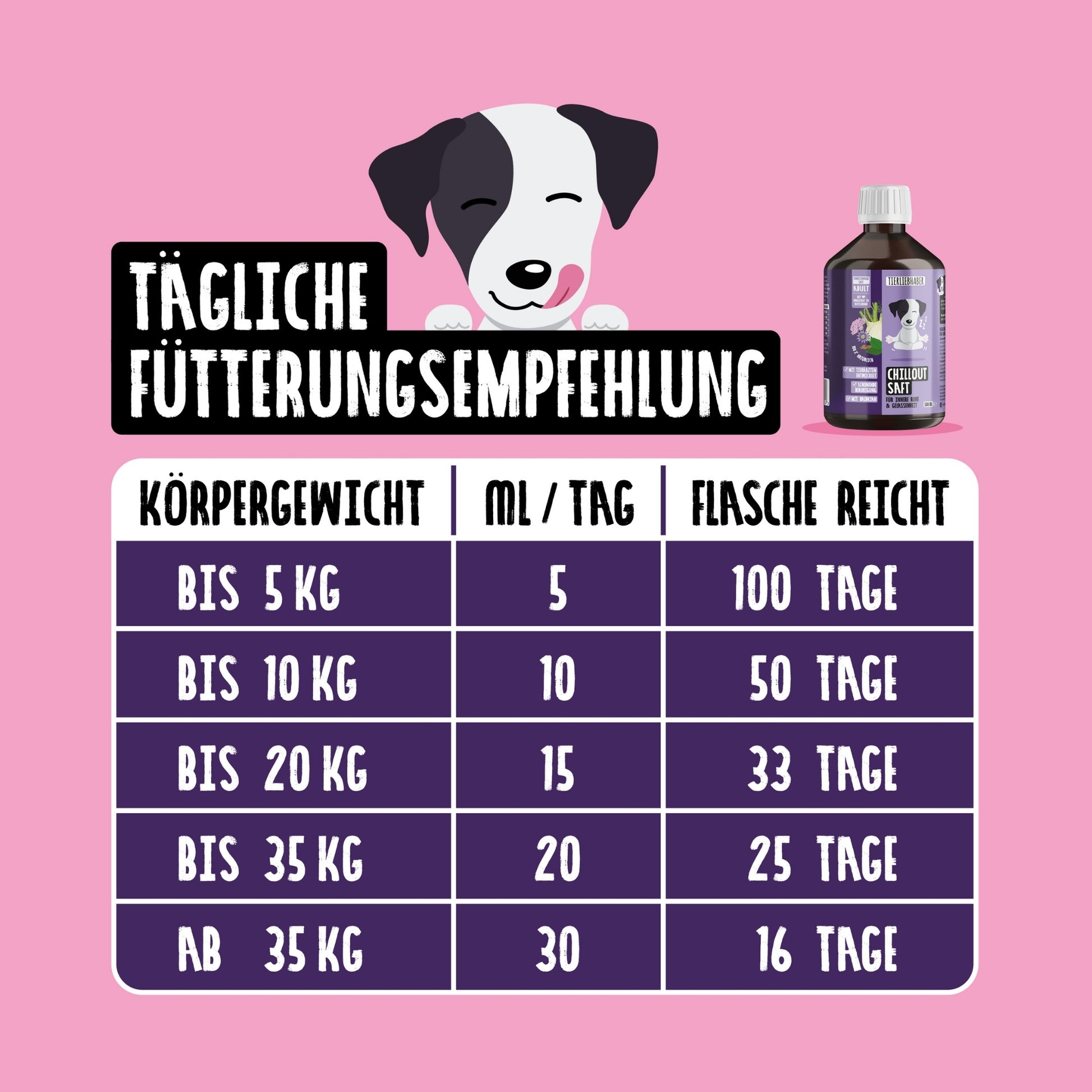 33774 – Bild 2