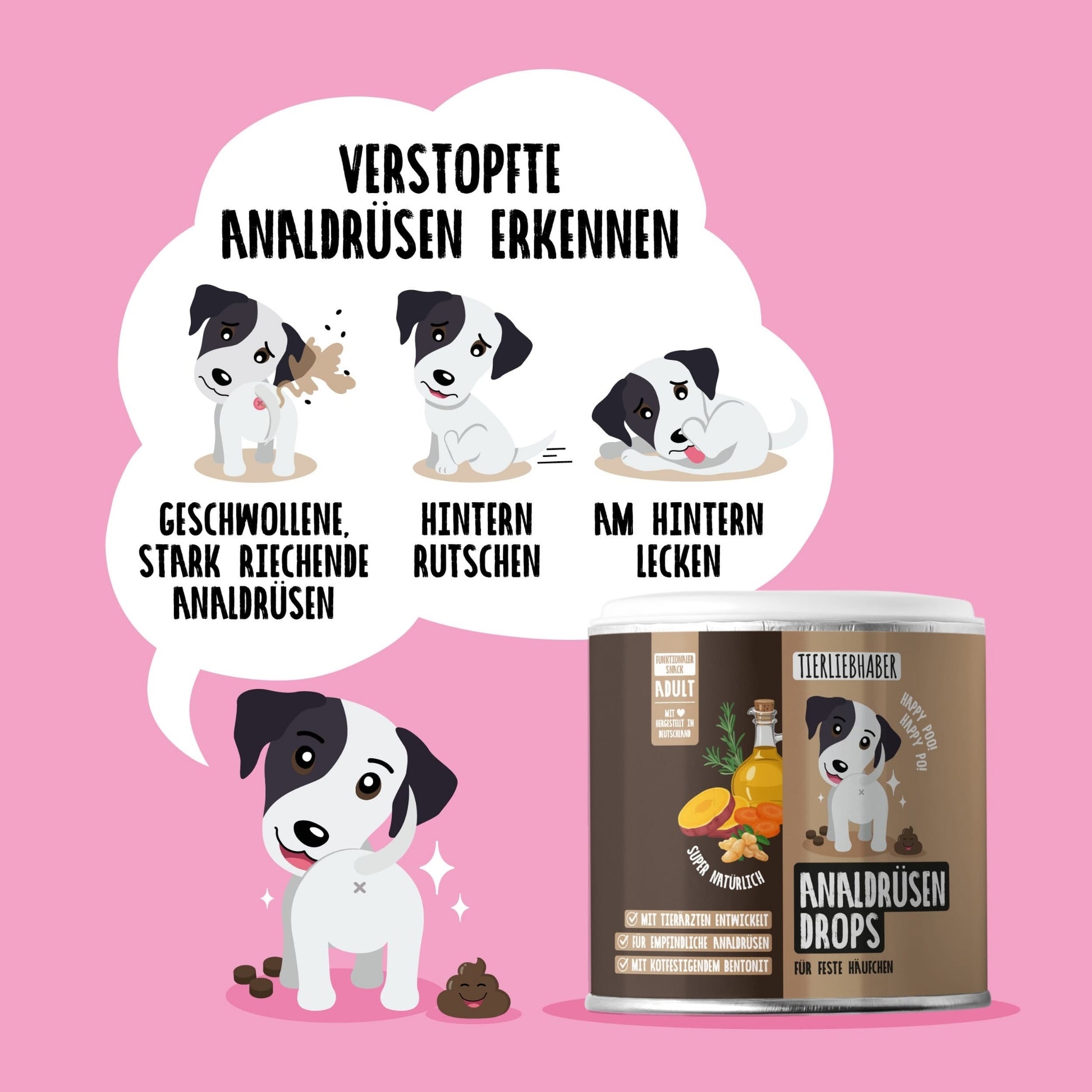 33788 – Bild 2