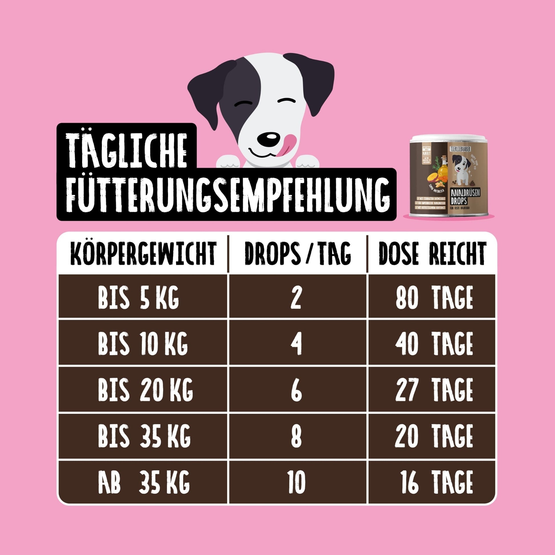 33788 – Bild 3