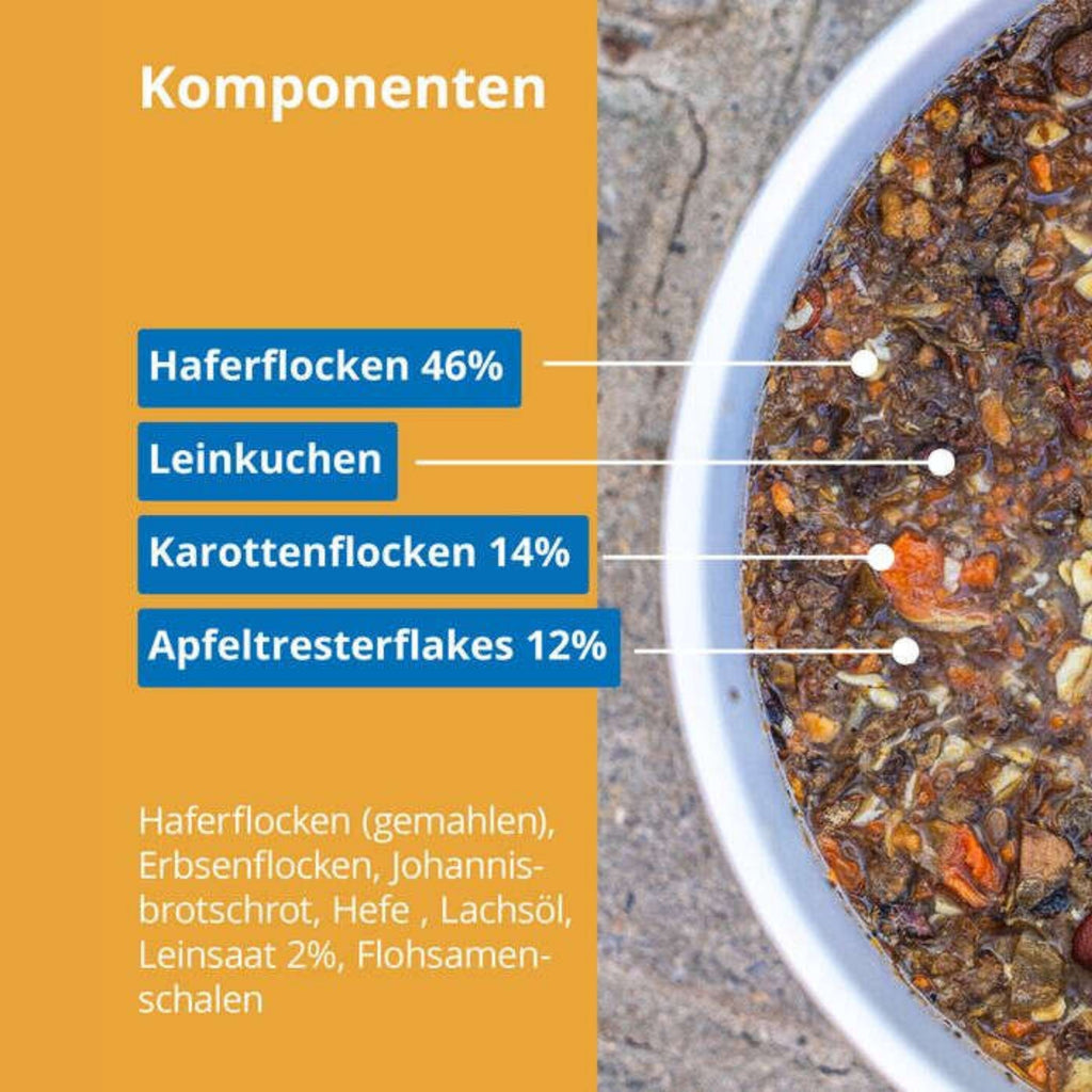 33798 – Bild 2