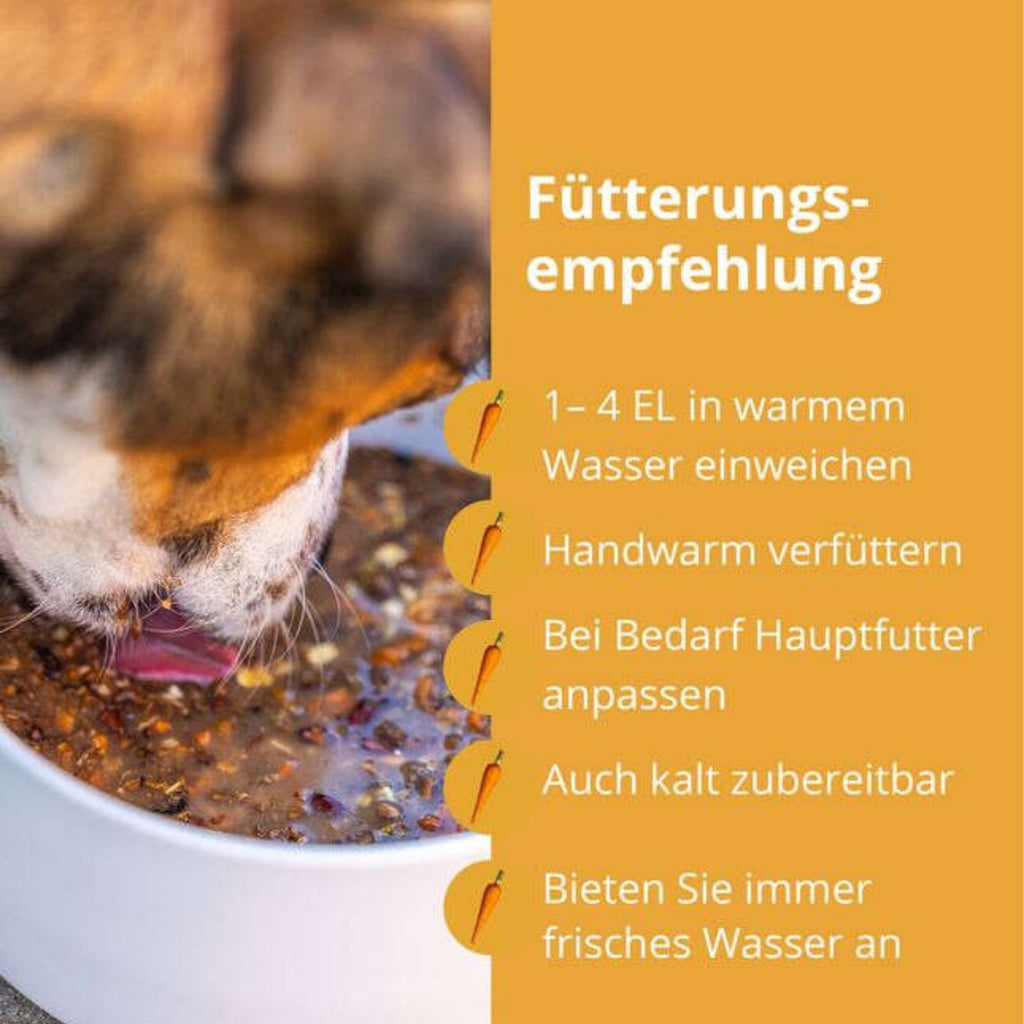 33798 – Bild 3