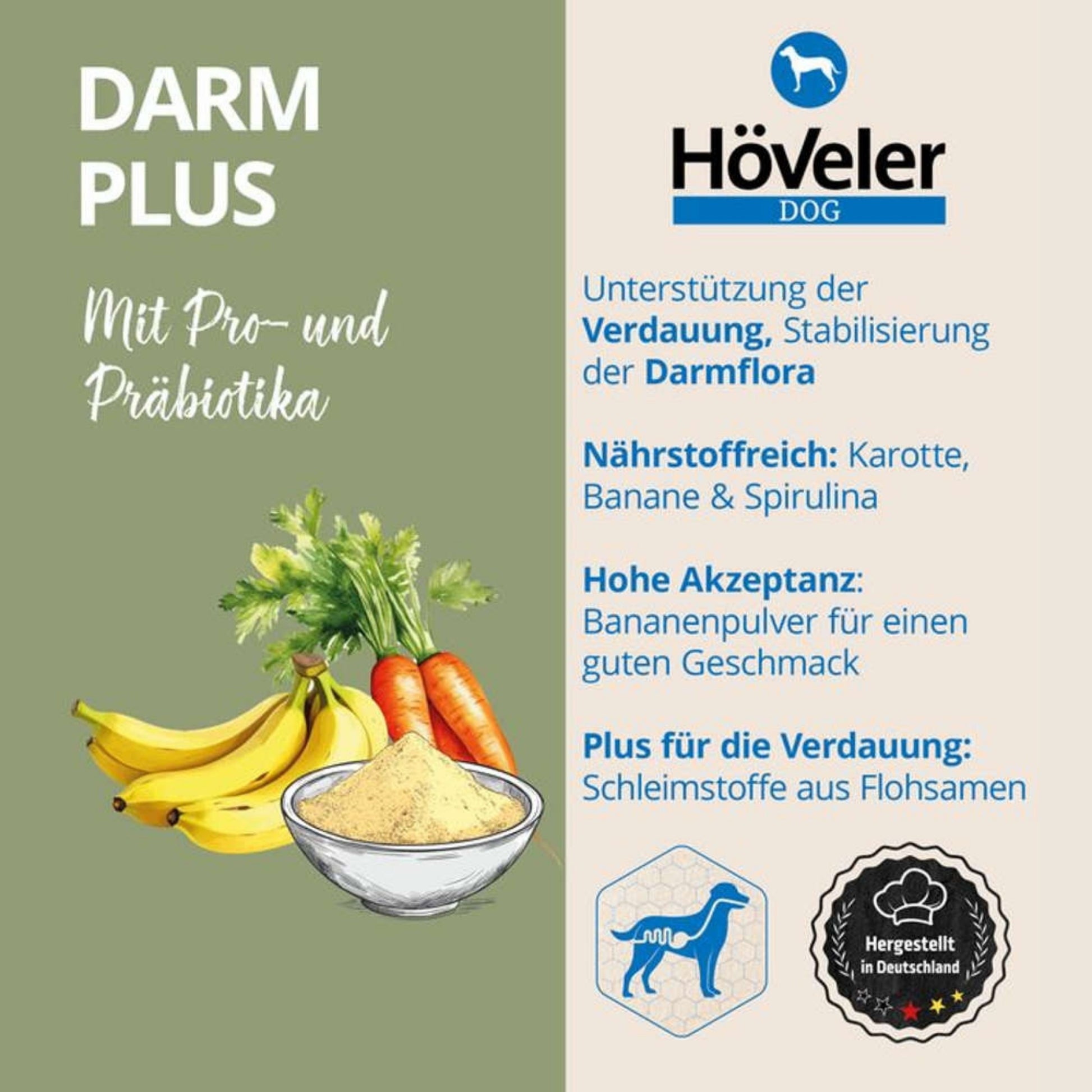 33799 – Bild 1