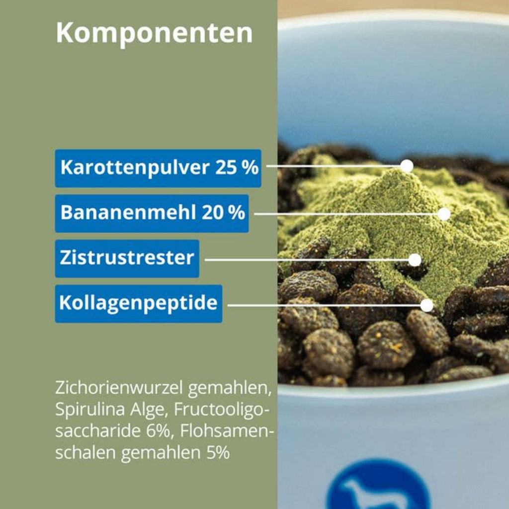 33799 – Bild 2