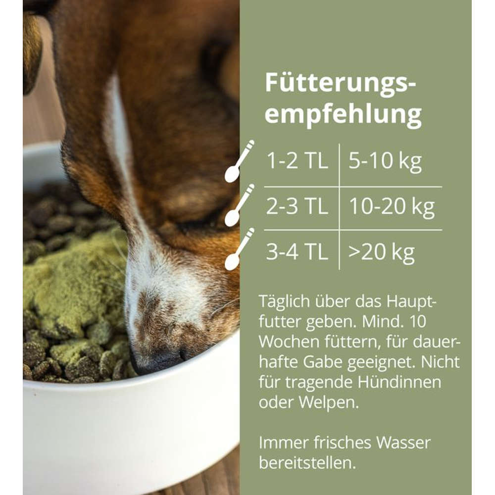 33799 – Bild 3