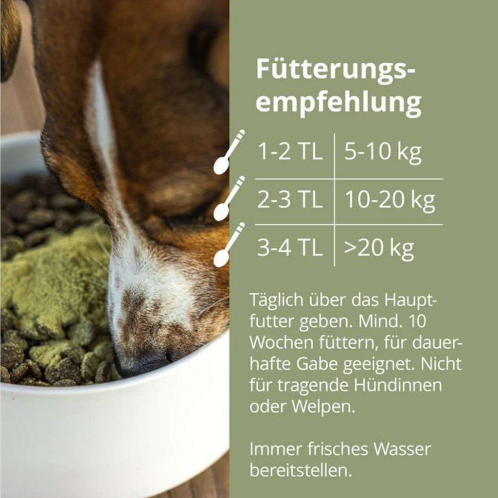 33799 – Bild 3