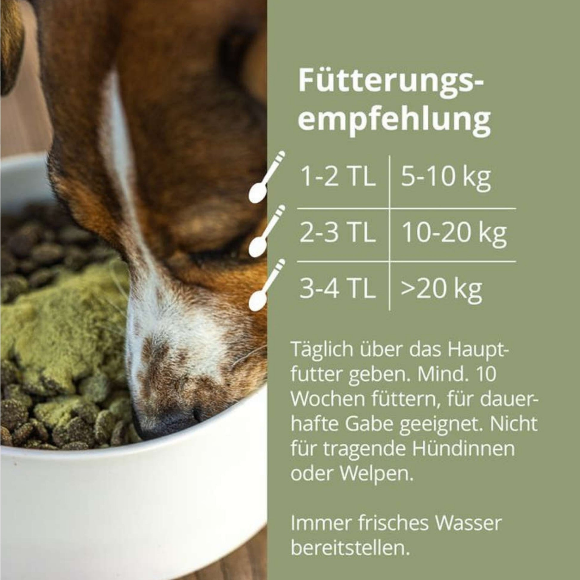 33799 – Bild 3