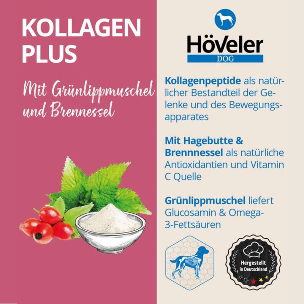 33800 – Bild 1