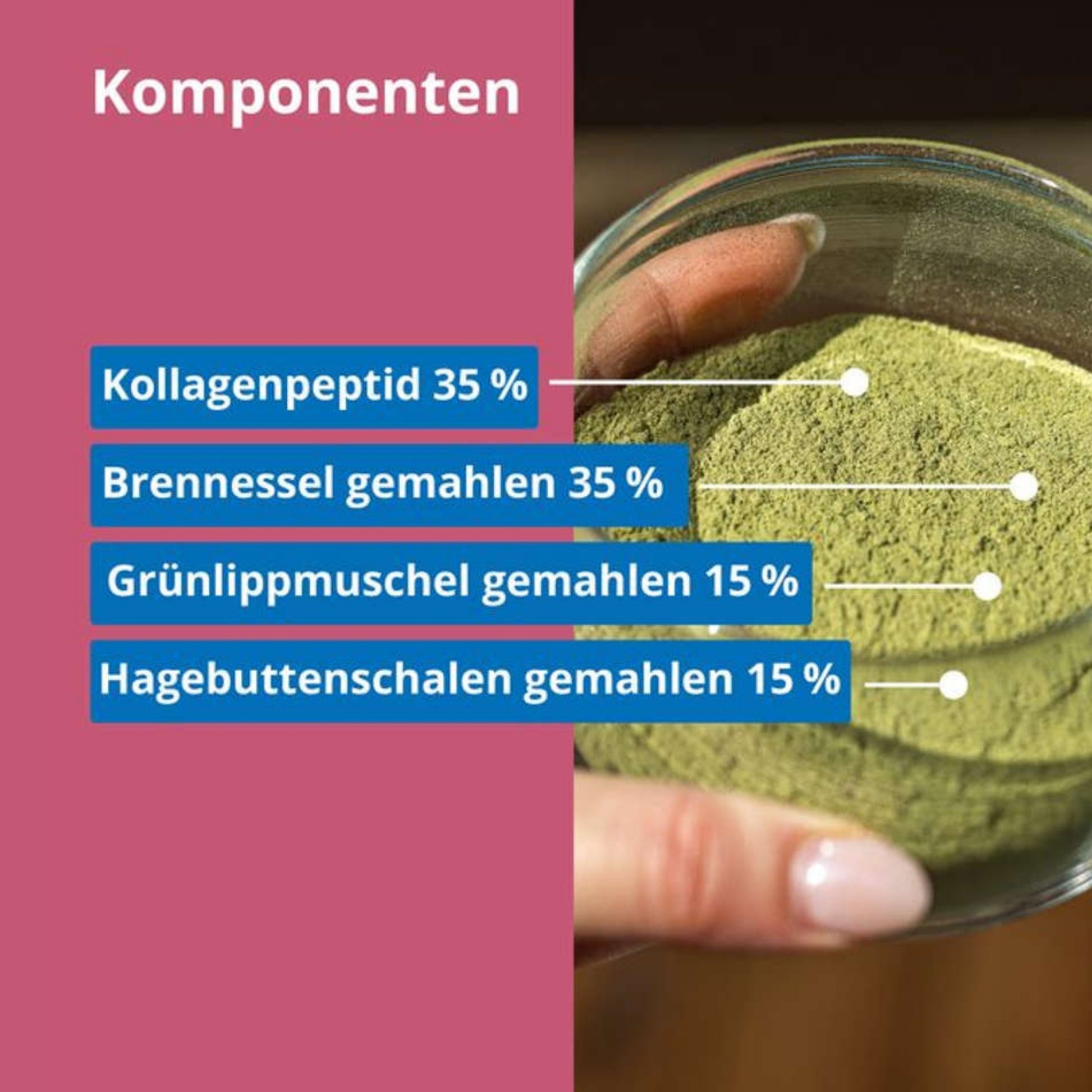 33800 – Bild 2