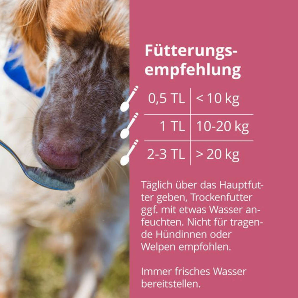 33800 – Bild 3