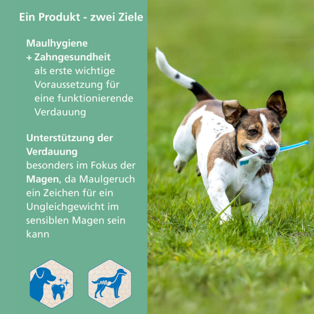 33801 – Bild 1