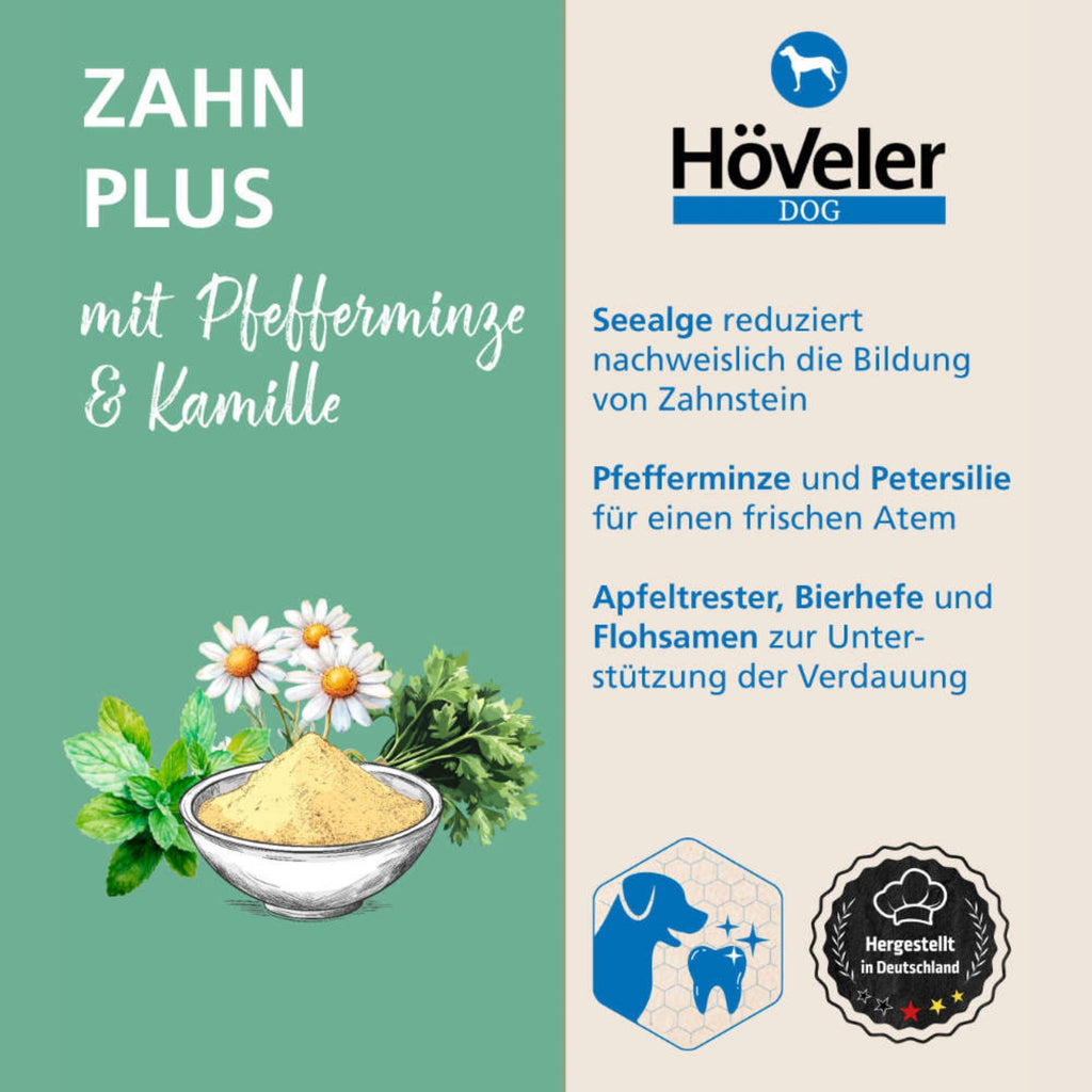 33801 – Bild 2