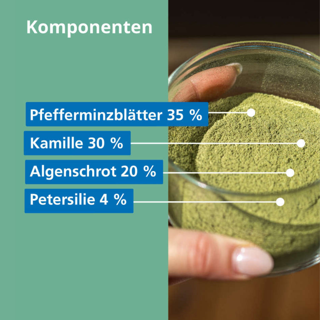 33801 – Bild 3