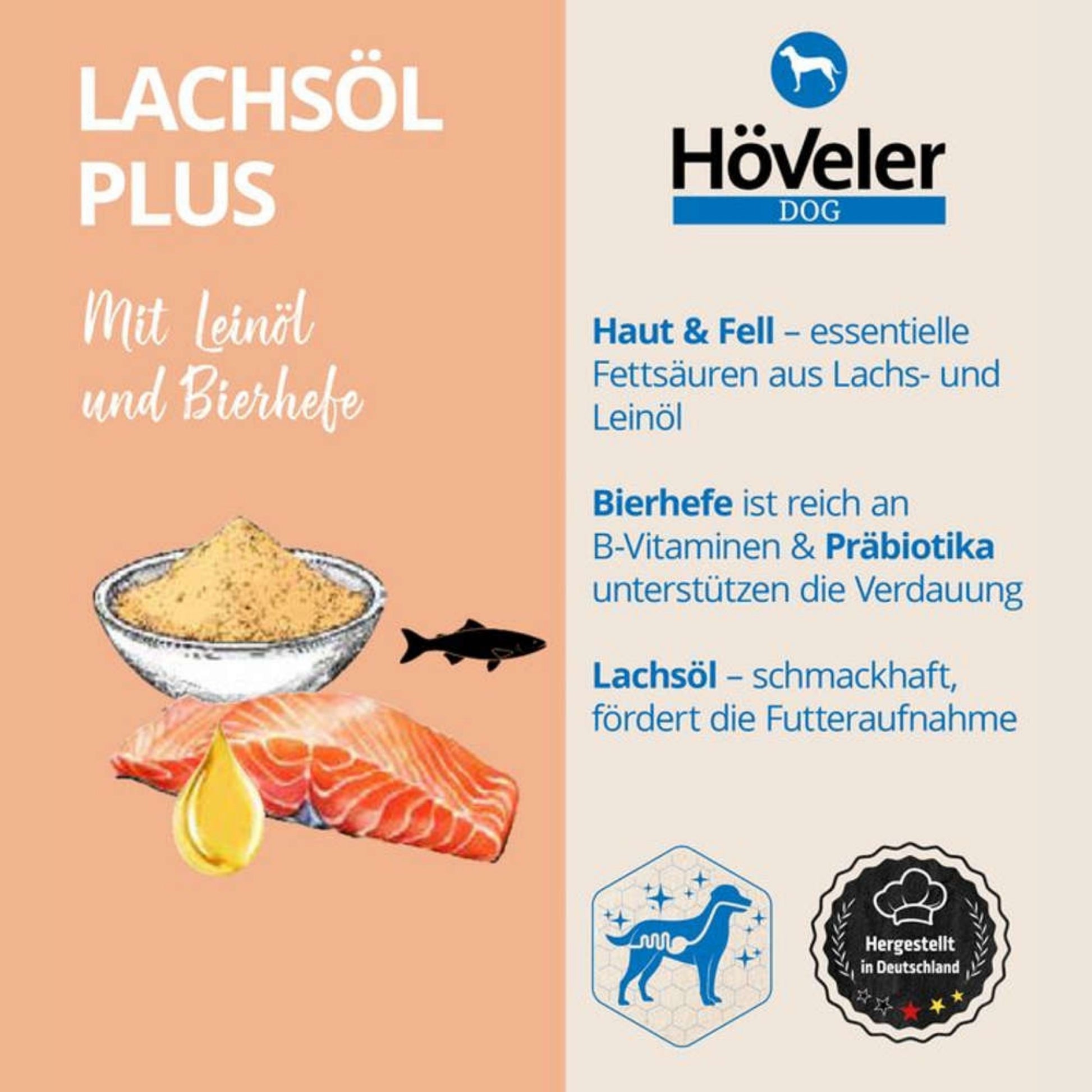 33802 – Bild 1