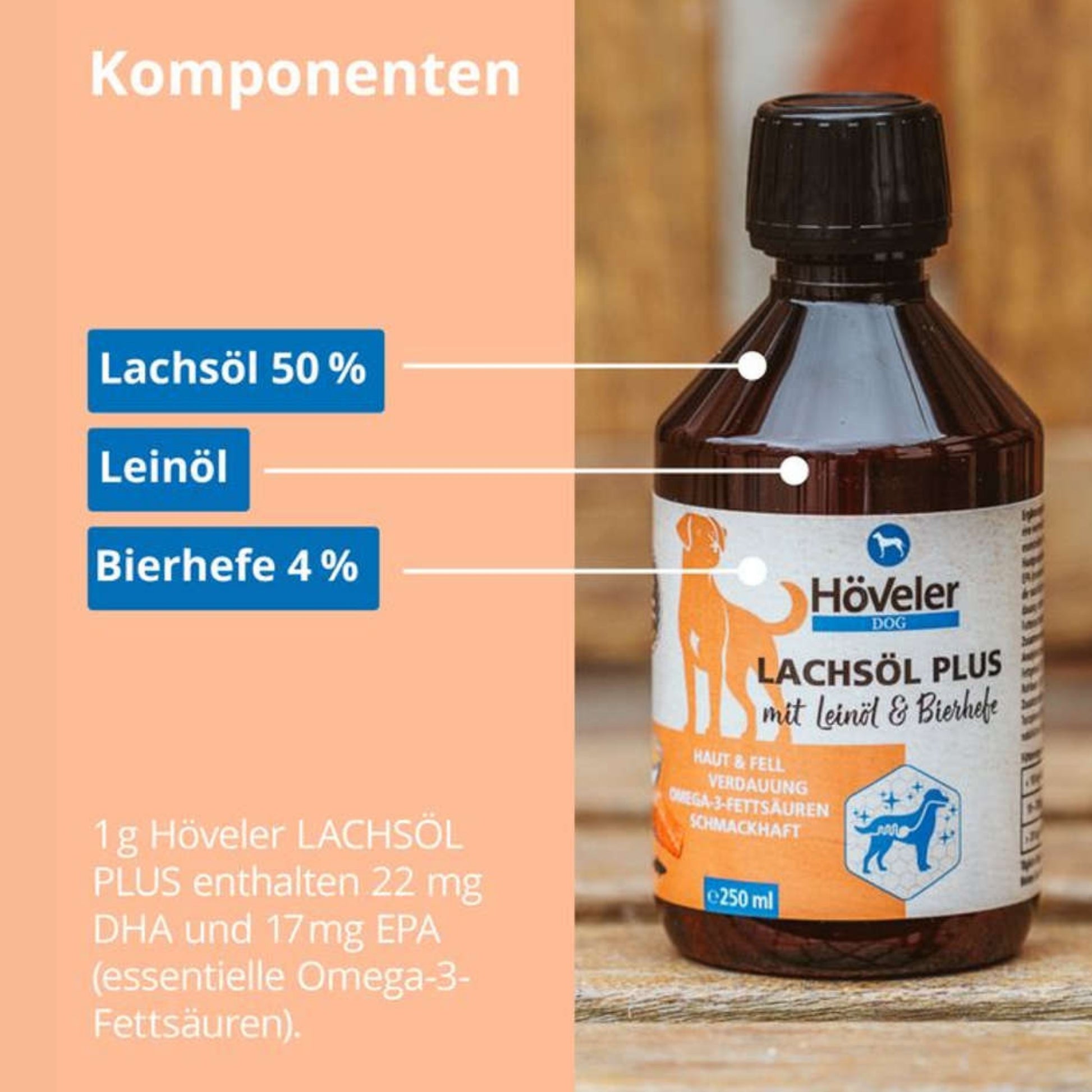 33802 – Bild 2
