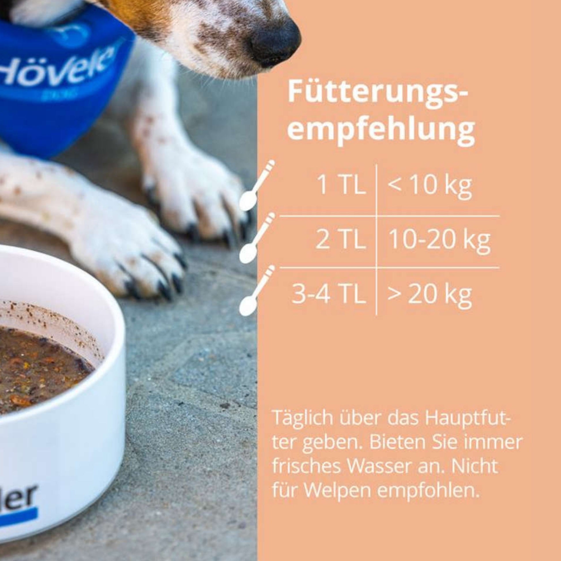 33802 – Bild 3
