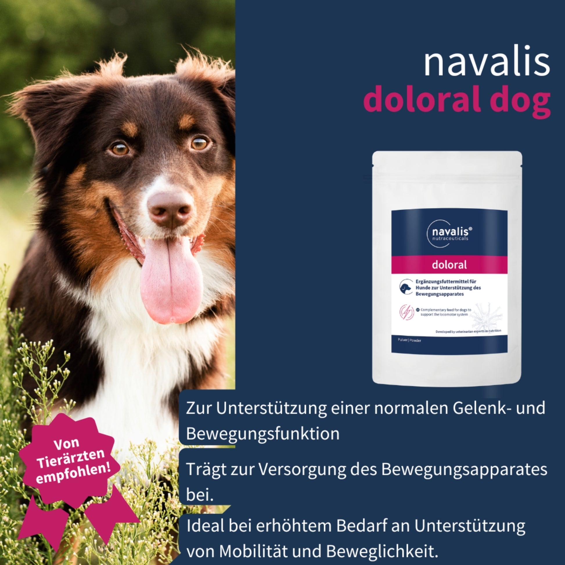 navalis doloral dog Pulver für Hunde 160g